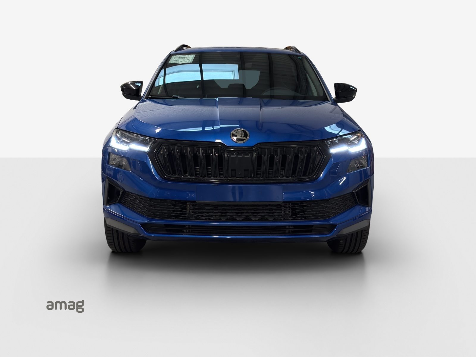 SKODA Karoq «Dynamic» Limited Edition (Netto), Essence, Voiture nouvelle, Automatique - 7