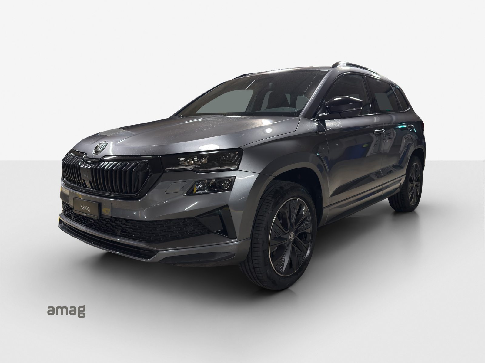 SKODA Karoq «Dynamic» Limited Edition (Netto)