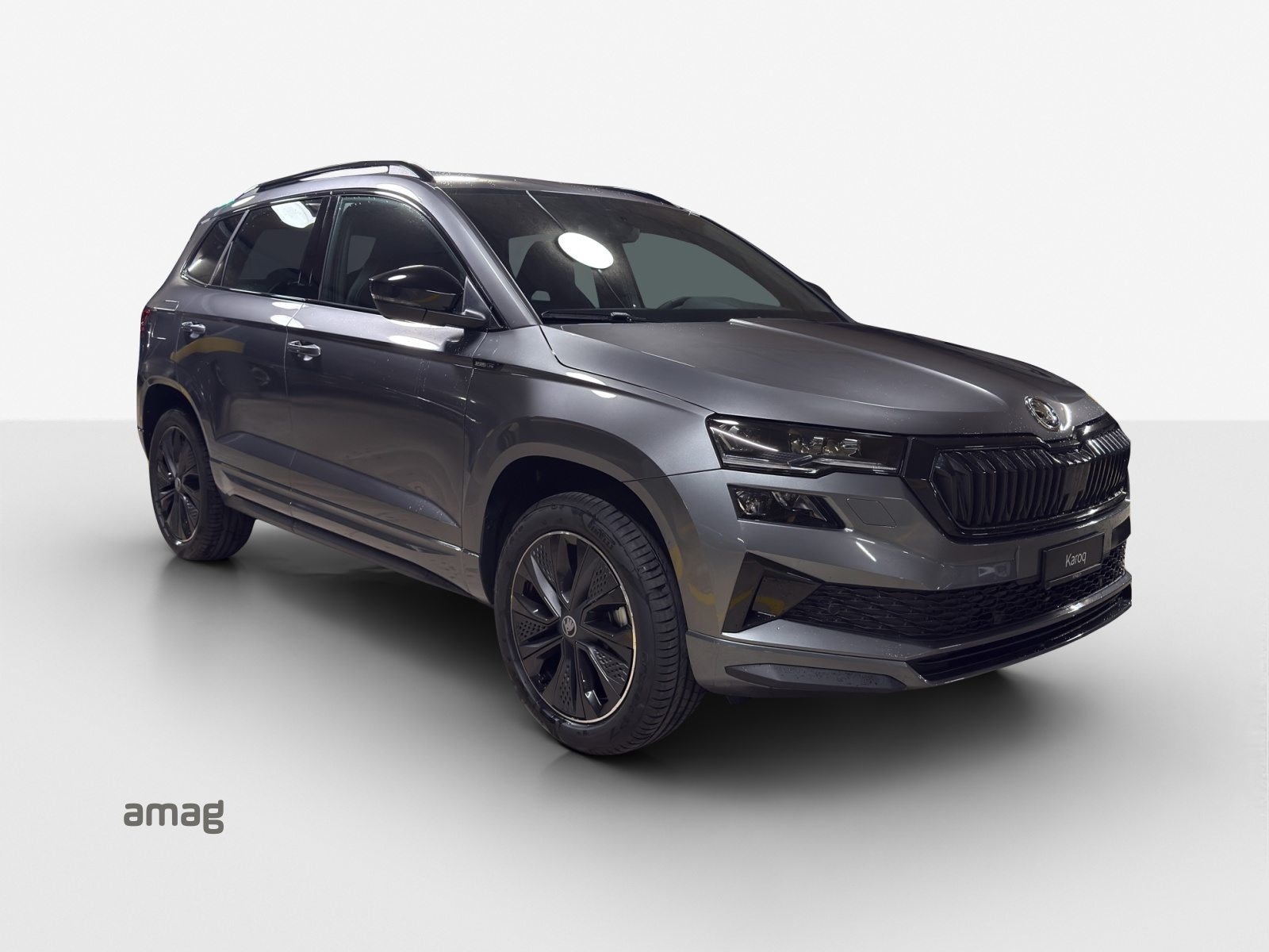 SKODA Karoq «Dynamic» Limited Edition (Netto), Essence, Voiture nouvelle, Automatique - 6