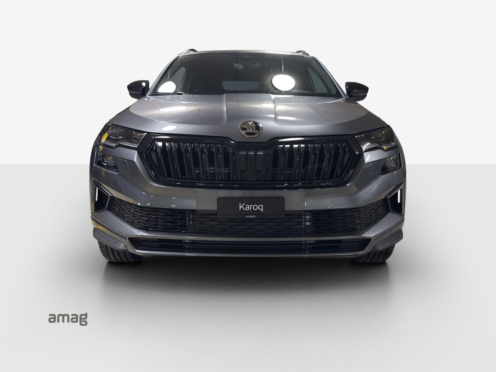 SKODA Karoq «Dynamic» Limited Edition (Netto), Essence, Voiture nouvelle, Automatique - 7