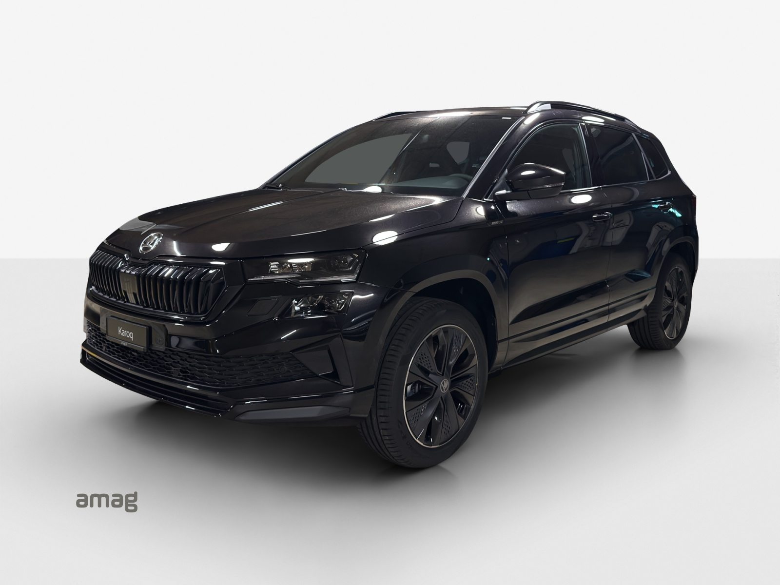 SKODA Karoq «Dynamic» Limited Edition (Netto)