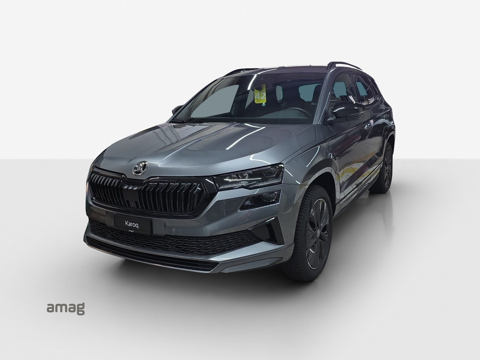 SKODA Karoq «Dynamic» Limited Edition (Netto)
