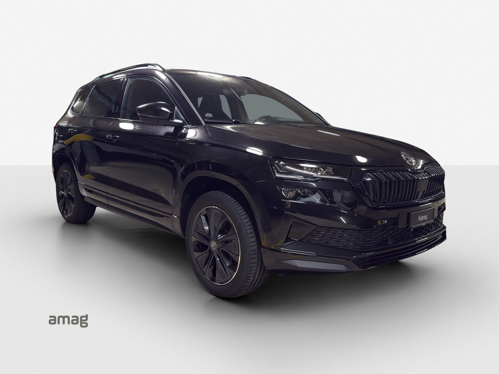 SKODA Karoq «Dynamic» Limited Edition (Netto), Benzin, Neuwagen, Automatik - 6