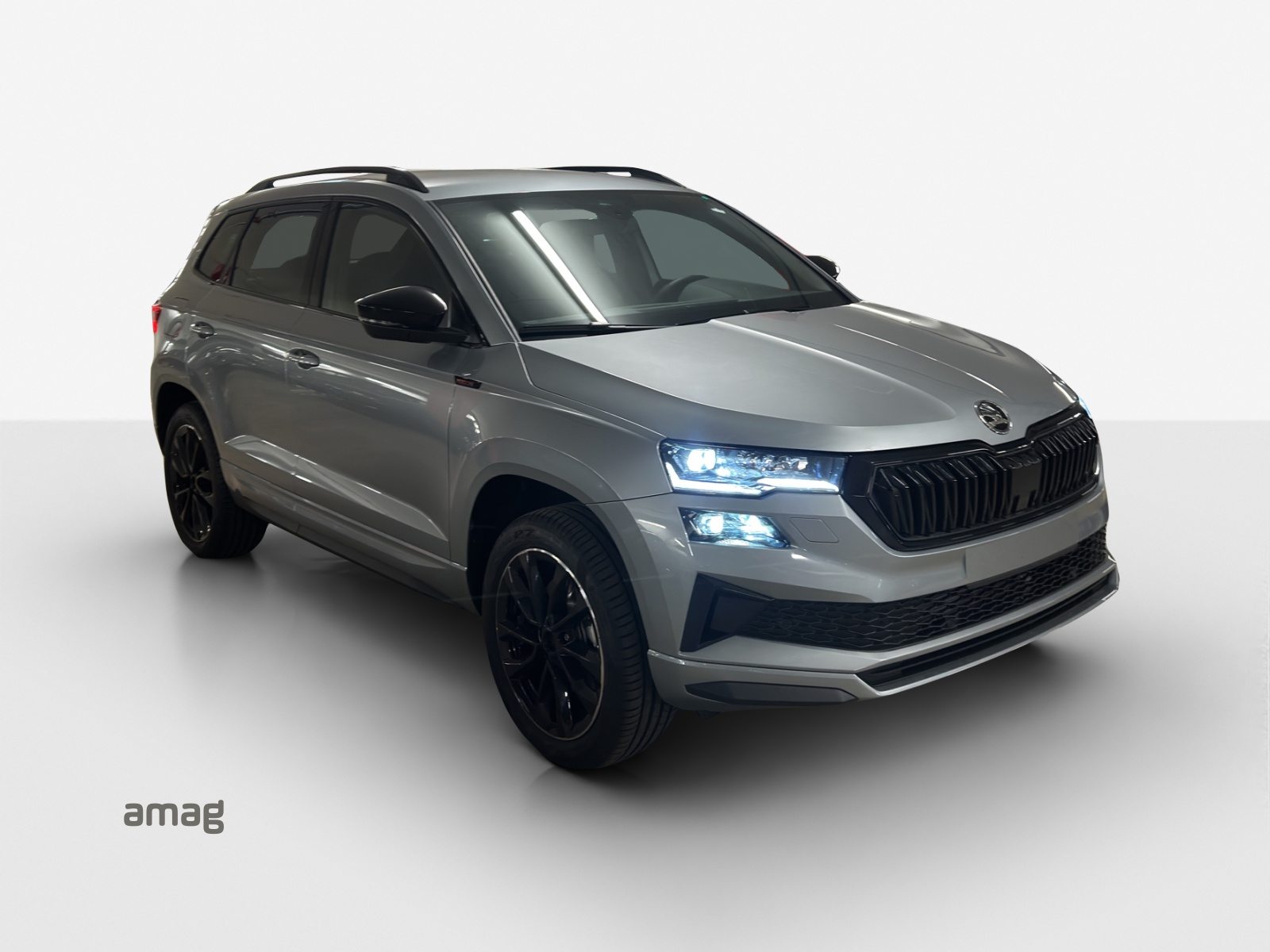 SKODA Karoq «Dynamic» Limited Edition (Netto), Petrol, New car, Automatic - 6