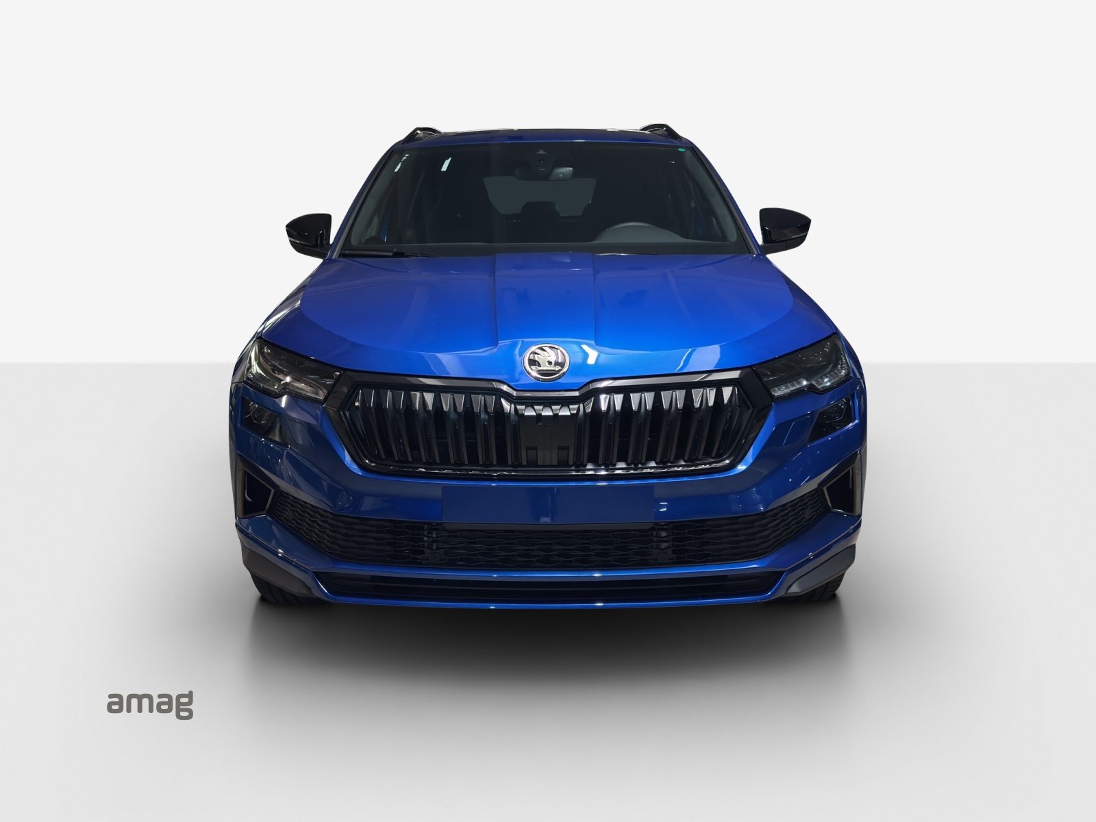 SKODA Karoq «Dynamic» Limited Edition (Netto), Benzin, Neuwagen, Automatik - 7