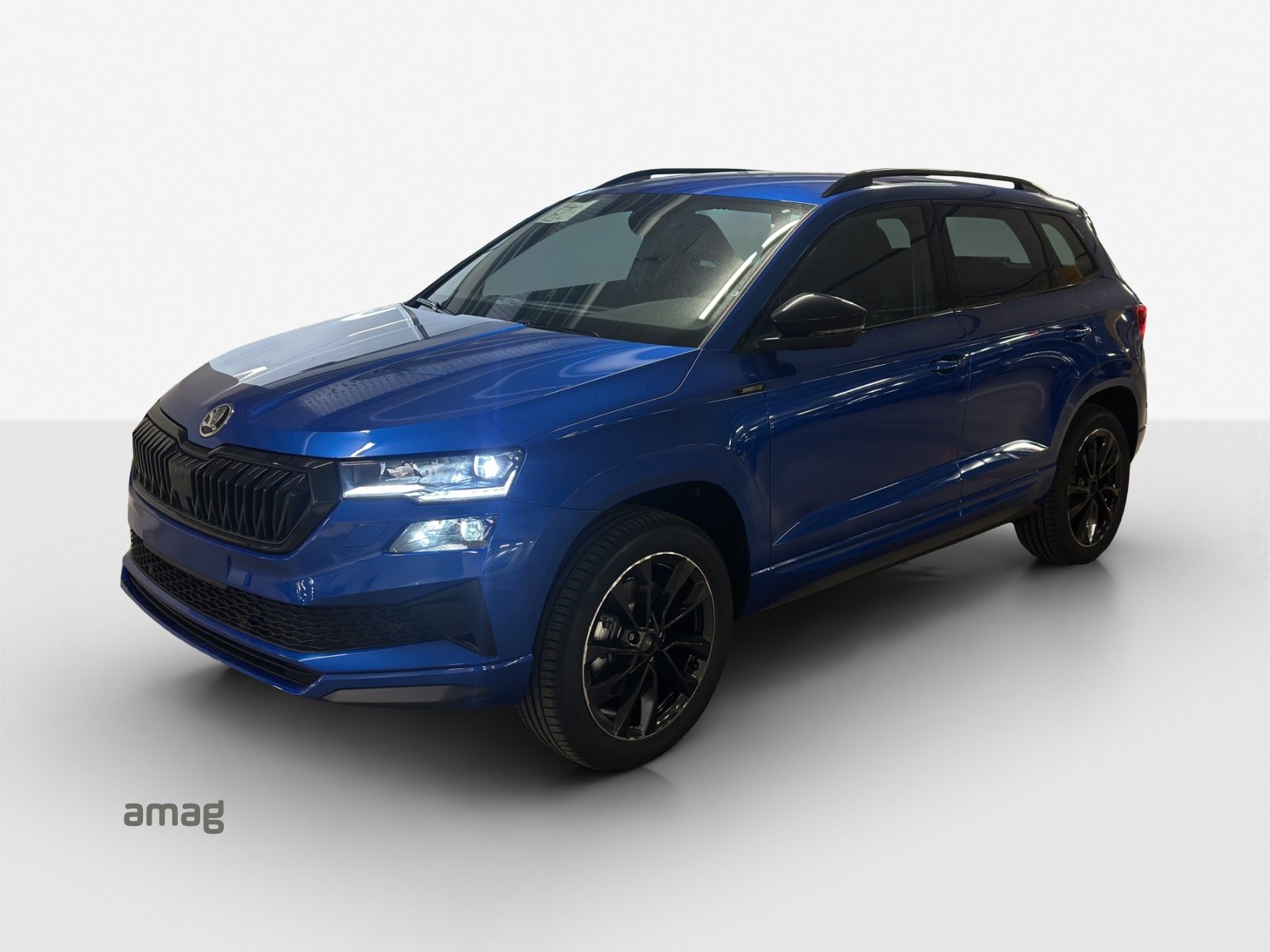 SKODA Karoq «Dynamic» Limited Edition (Netto)