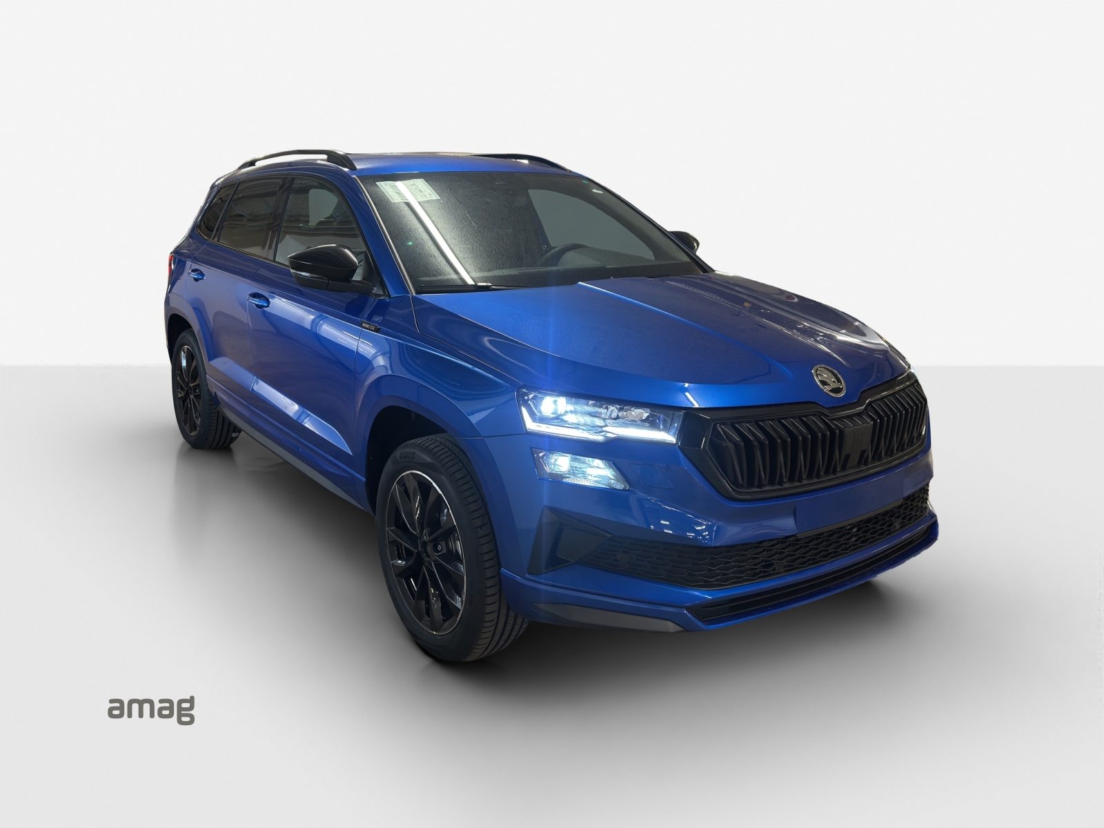 SKODA Karoq «Dynamic» Limited Edition (Netto), Petrol, New car, Automatic - 6
