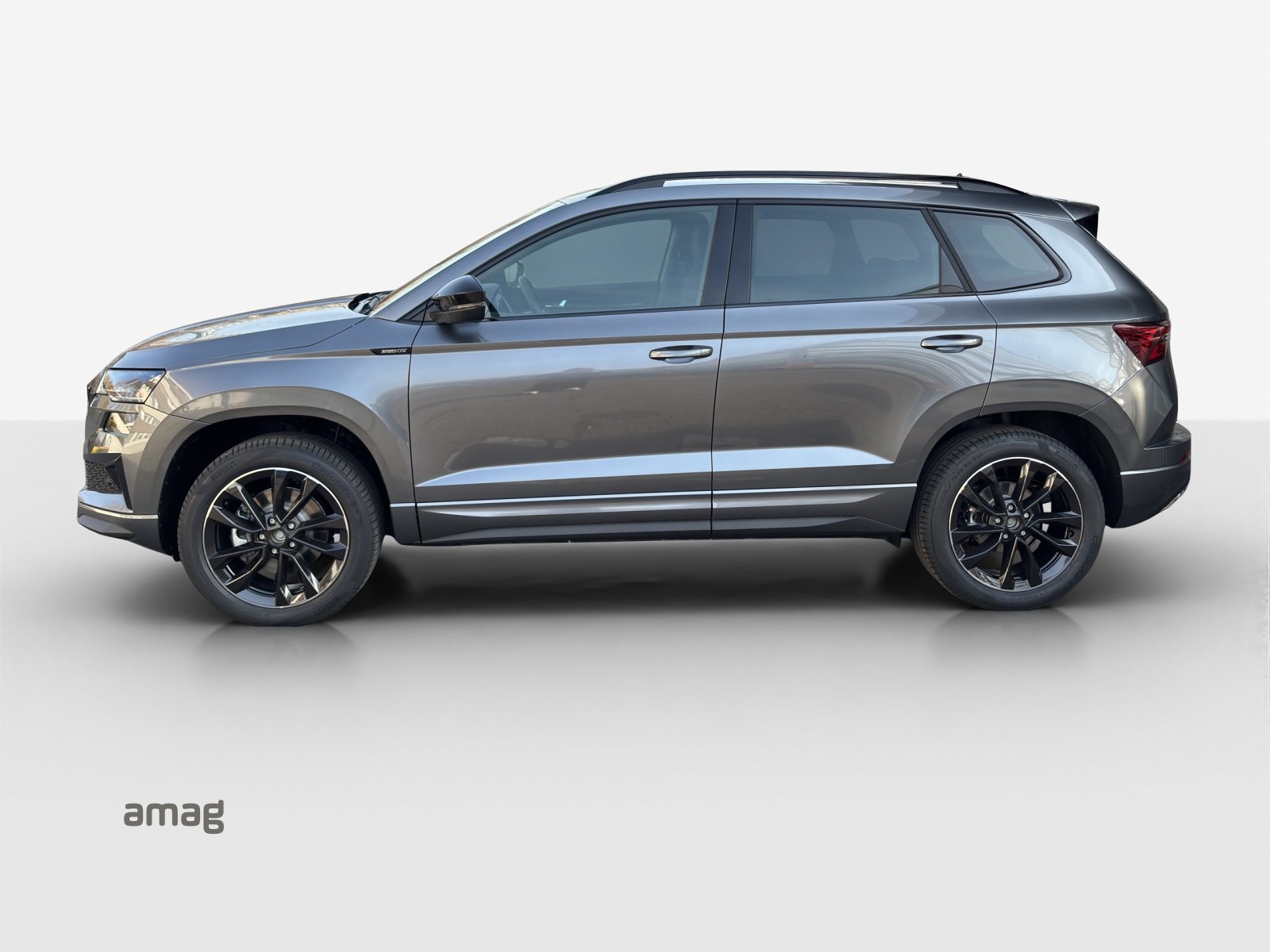 SKODA Karoq «Dynamic» Limited Edition (Netto), Petrol, New car, Automatic - 2