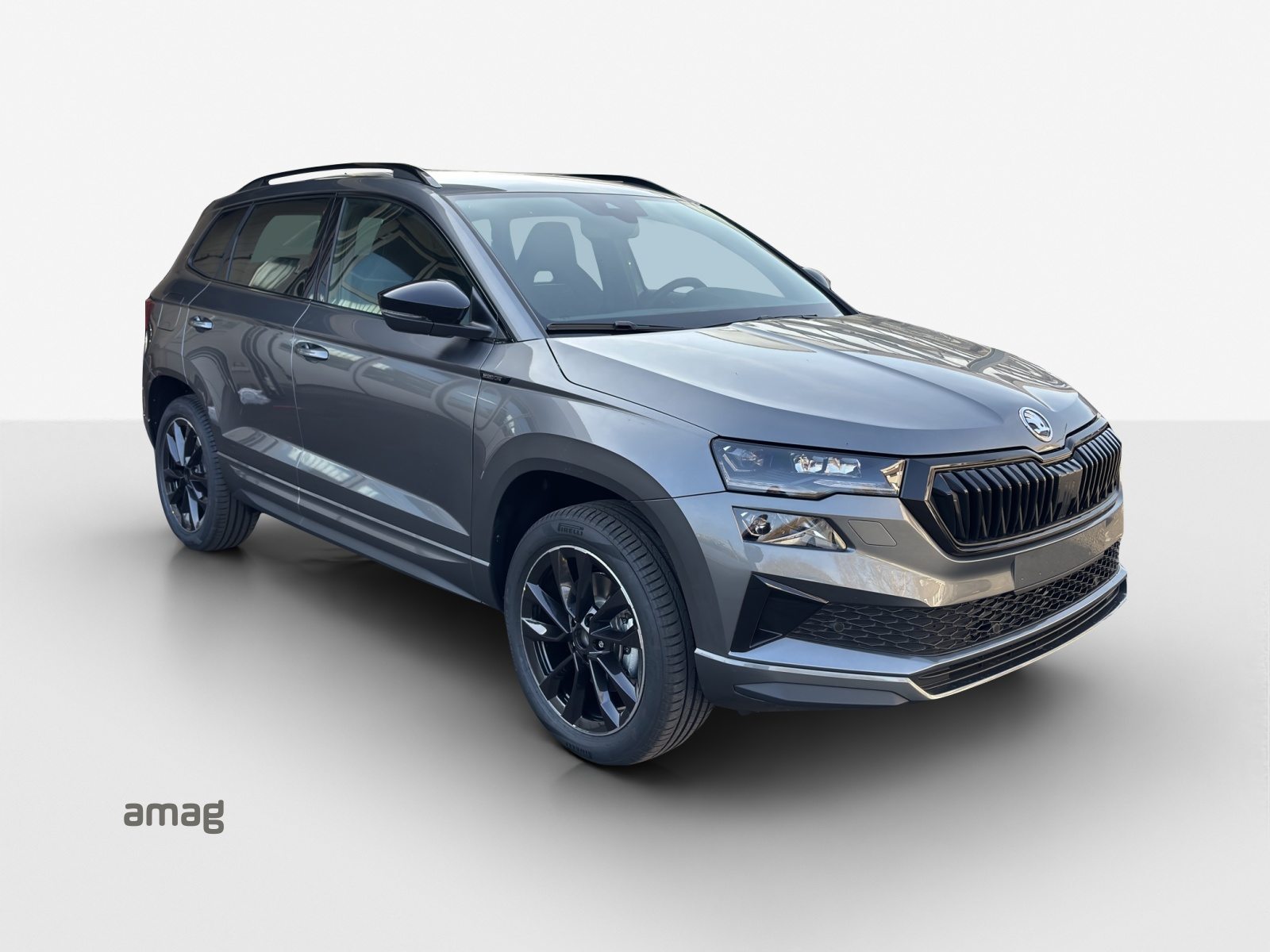 SKODA Karoq «Dynamic» Limited Edition (Netto), Petrol, New car, Automatic - 6