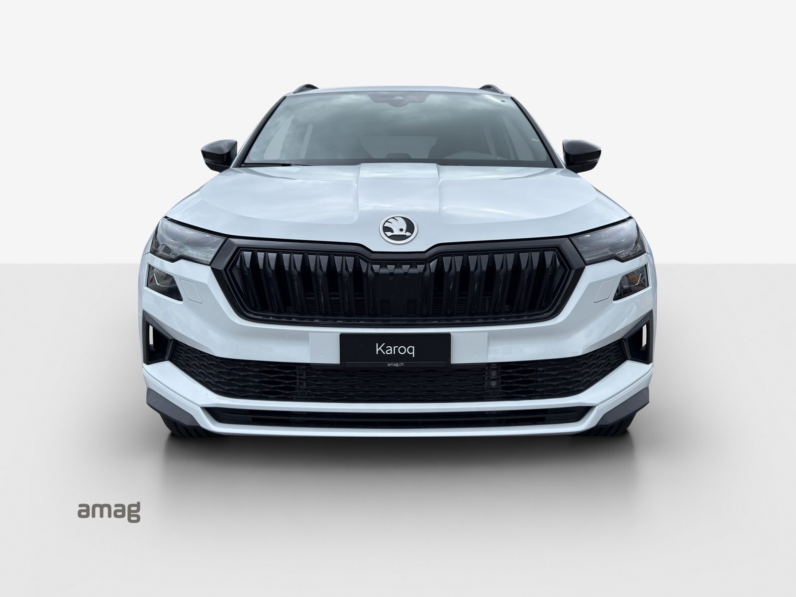 SKODA Karoq «Dynamic» Limited Edition (Netto), Benzina, Auto nuove, Automatico - 7