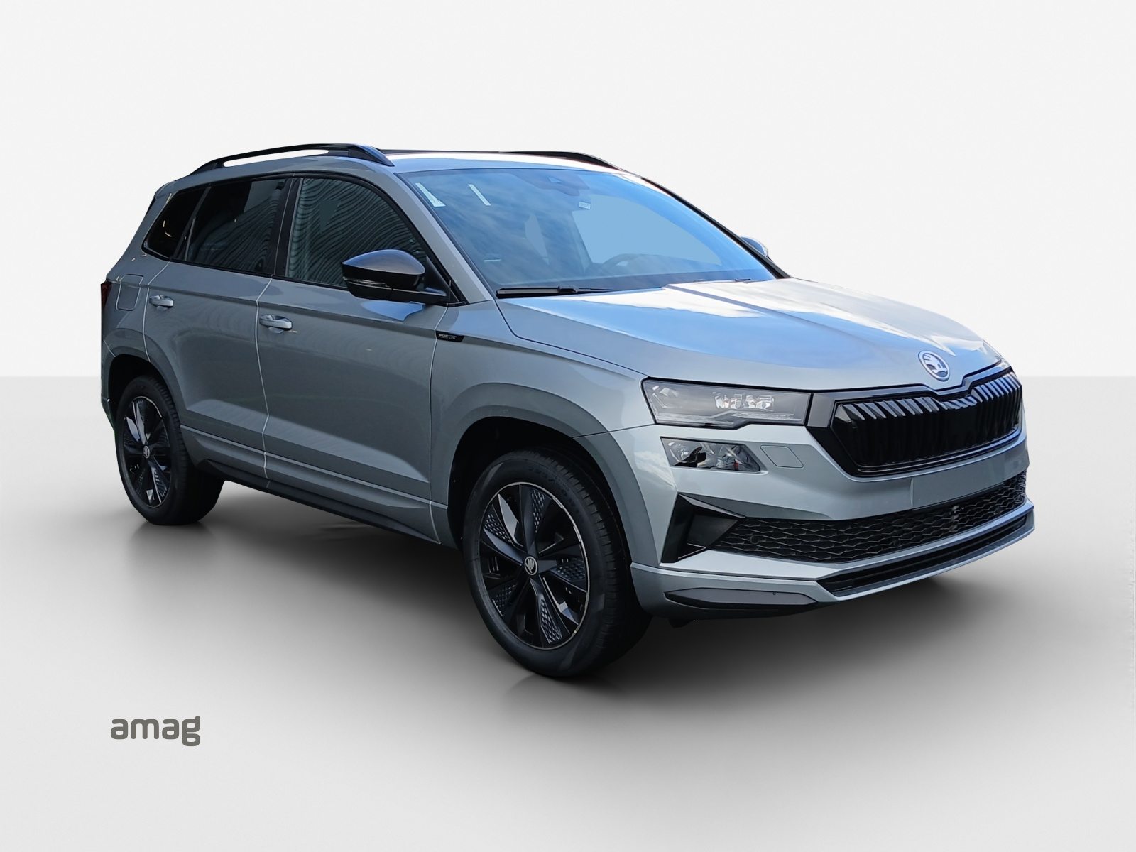 SKODA Karoq «Dynamic» Limited Edition (Netto), Benzin, Neuwagen, Automatik - 6