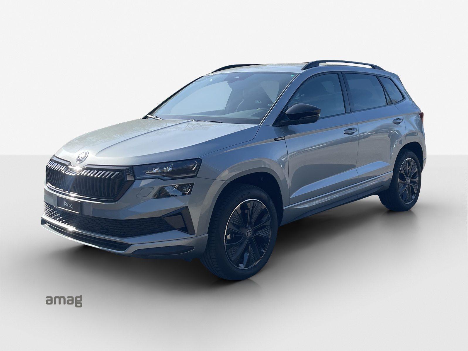 SKODA Karoq «Dynamic» Limited Edition (Netto)