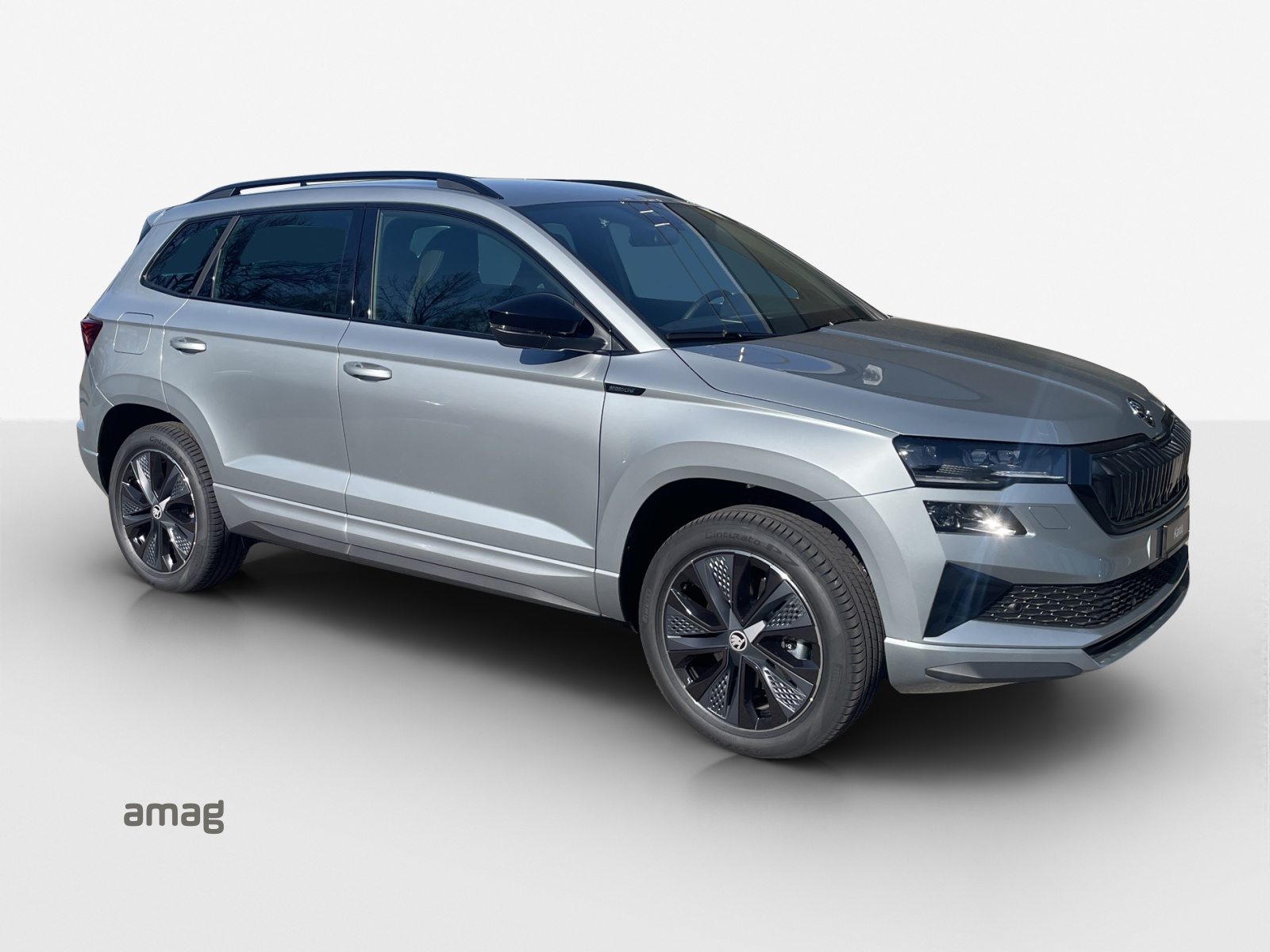 SKODA Karoq «Dynamic» Limited Edition (Netto), Benzin, Neuwagen, Automatik - 6