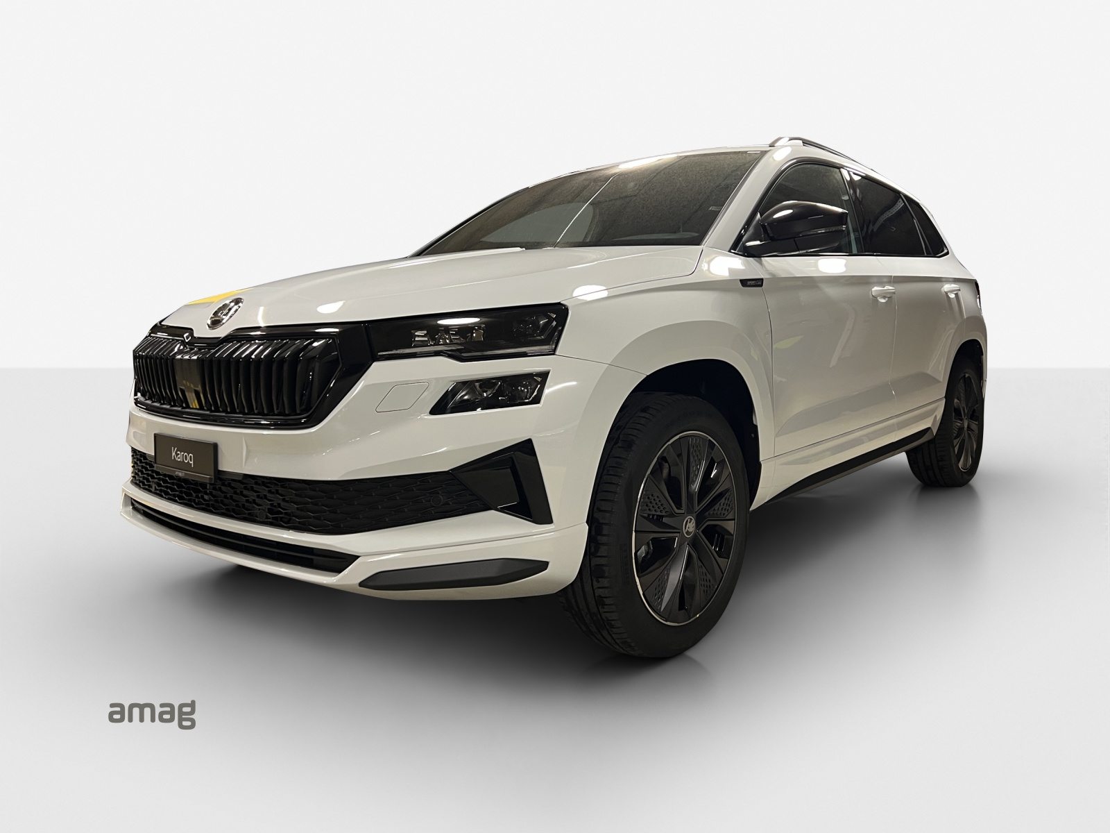 SKODA Karoq «Dynamic» Limited Edition (Netto)