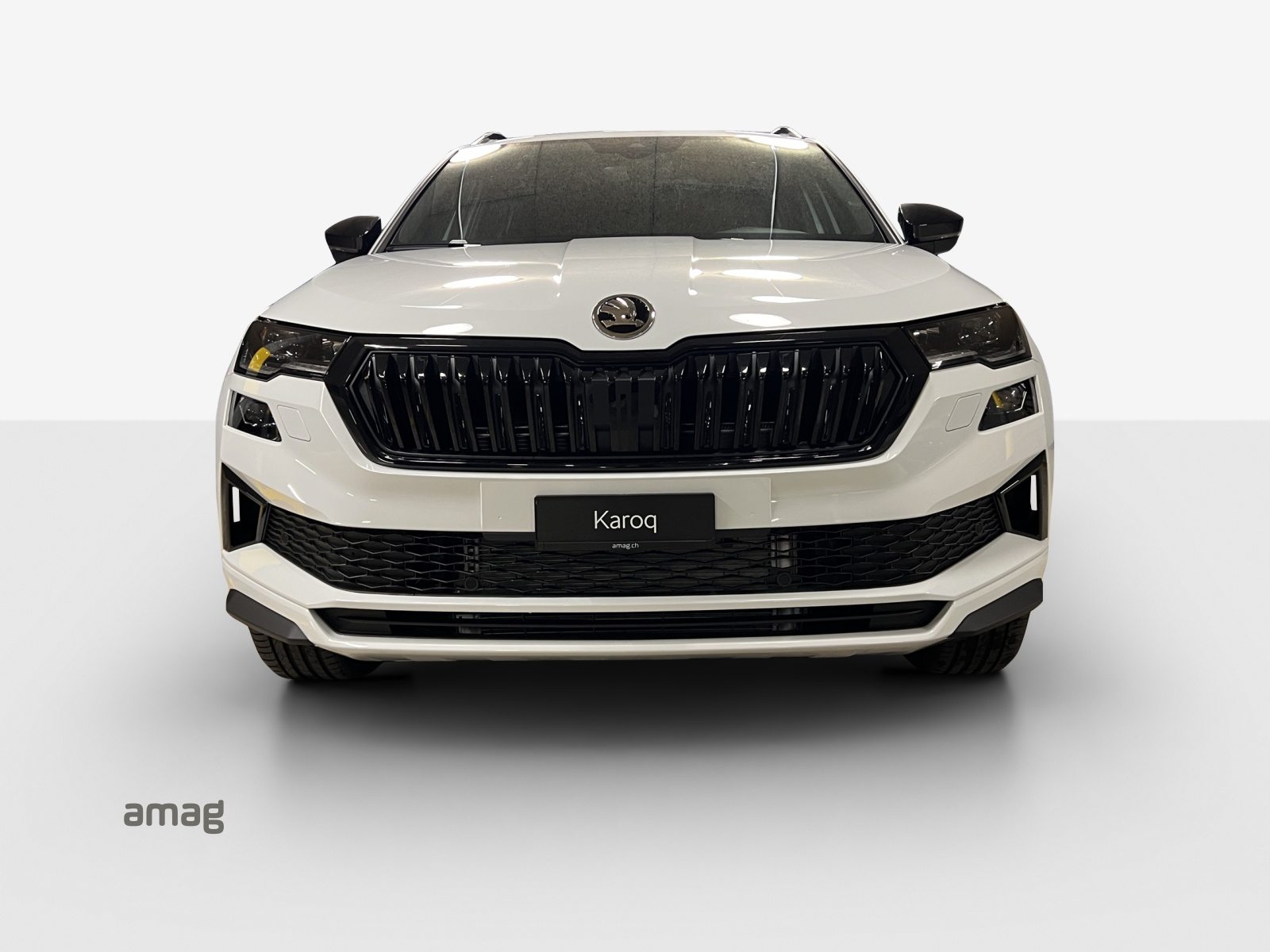 SKODA Karoq «Dynamic» Limited Edition (Netto), Benzin, Neuwagen, Automatik - 7
