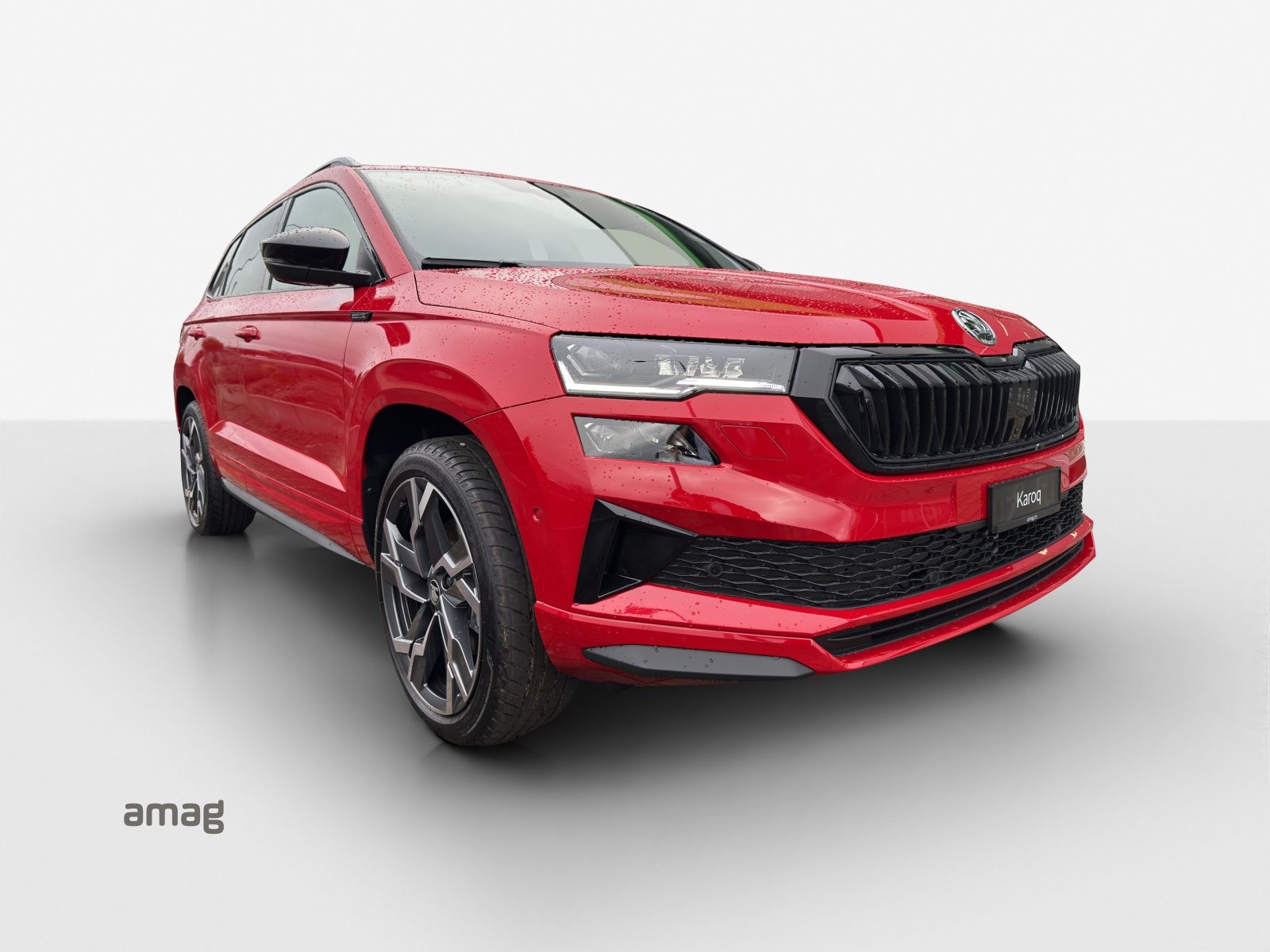 SKODA Karoq Sportline, Essence, Voiture nouvelle, Automatique - 6