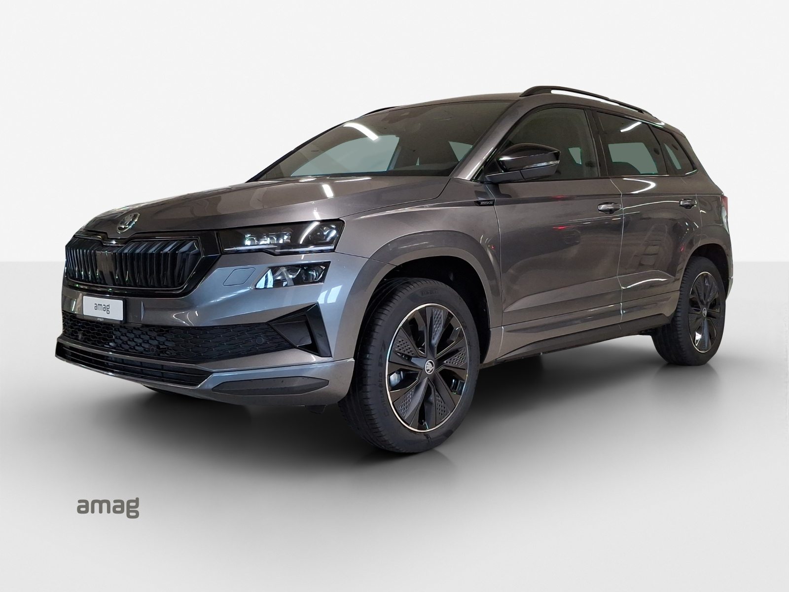 SKODA Karoq «Dynamic» Limited Edition (Netto)