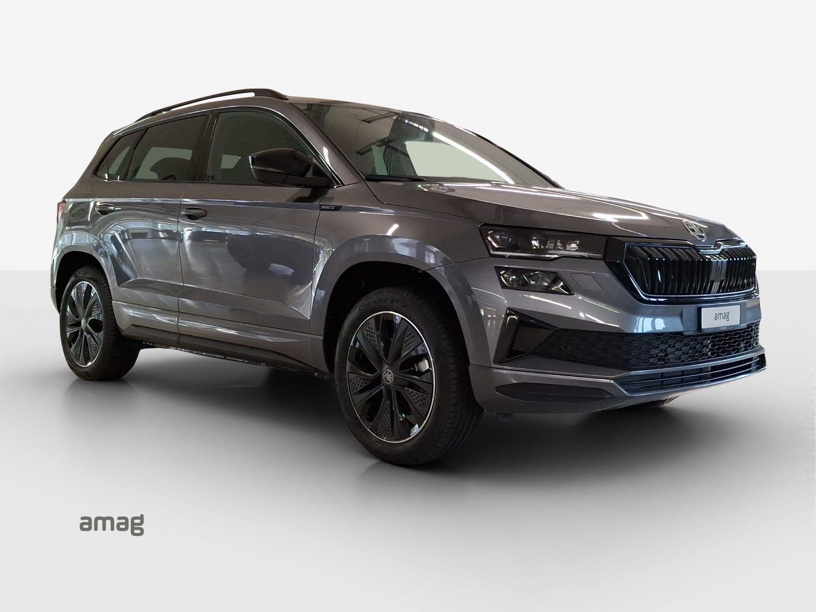 SKODA Karoq «Dynamic» Limited Edition (Netto), Benzina, Auto nuove, Automatico - 6