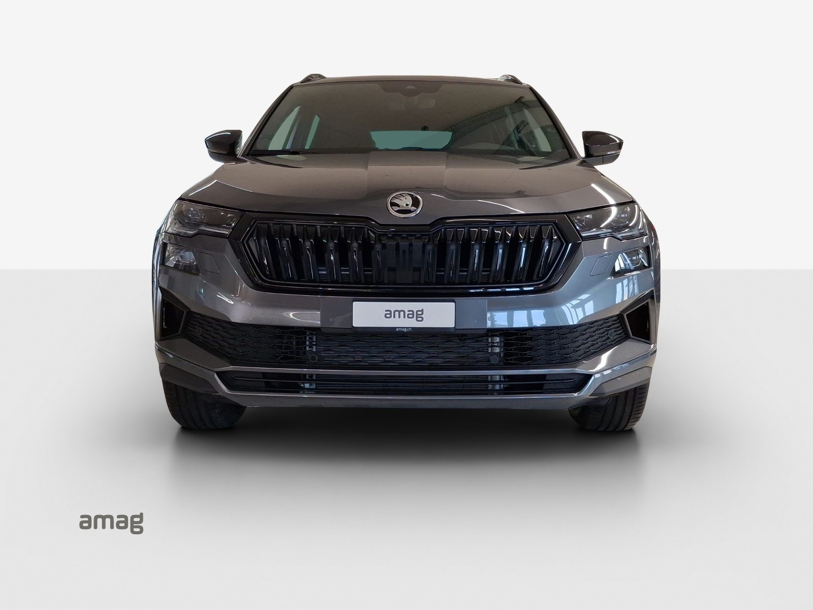 SKODA Karoq «Dynamic» Limited Edition (Netto), Benzina, Auto nuove, Automatico - 7