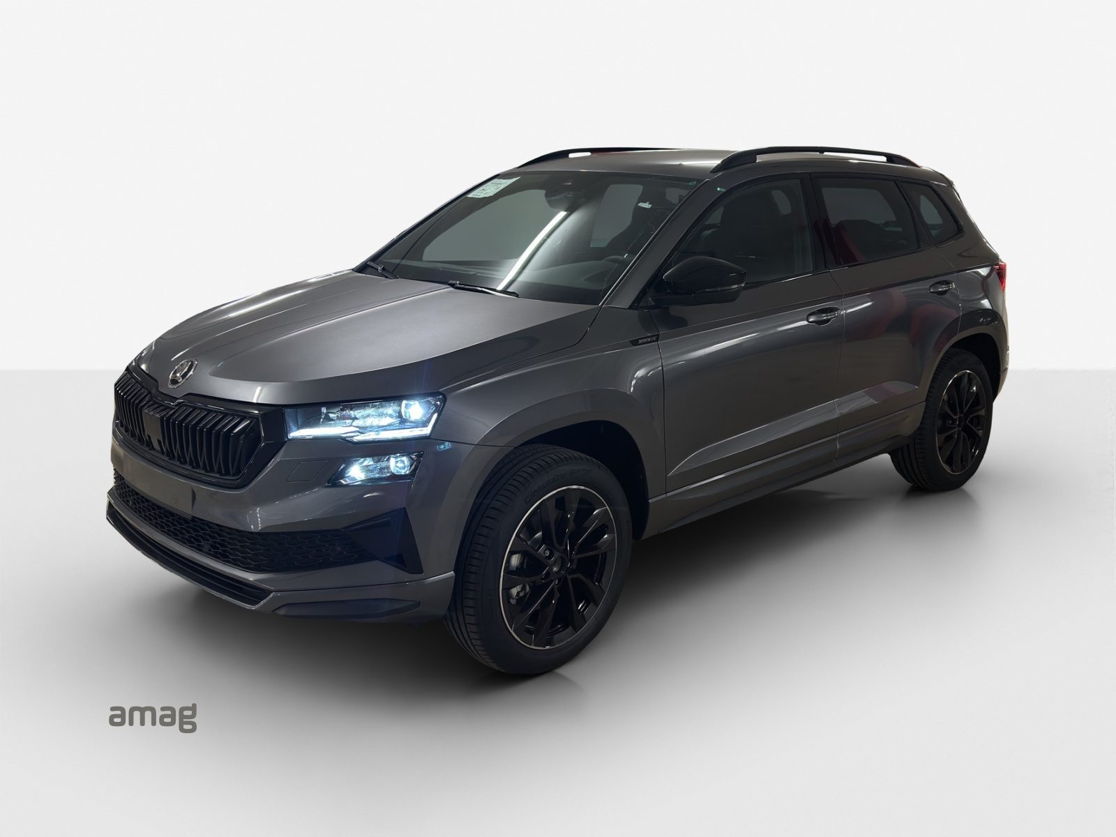 SKODA Karoq «Dynamic» Limited Edition (Netto)