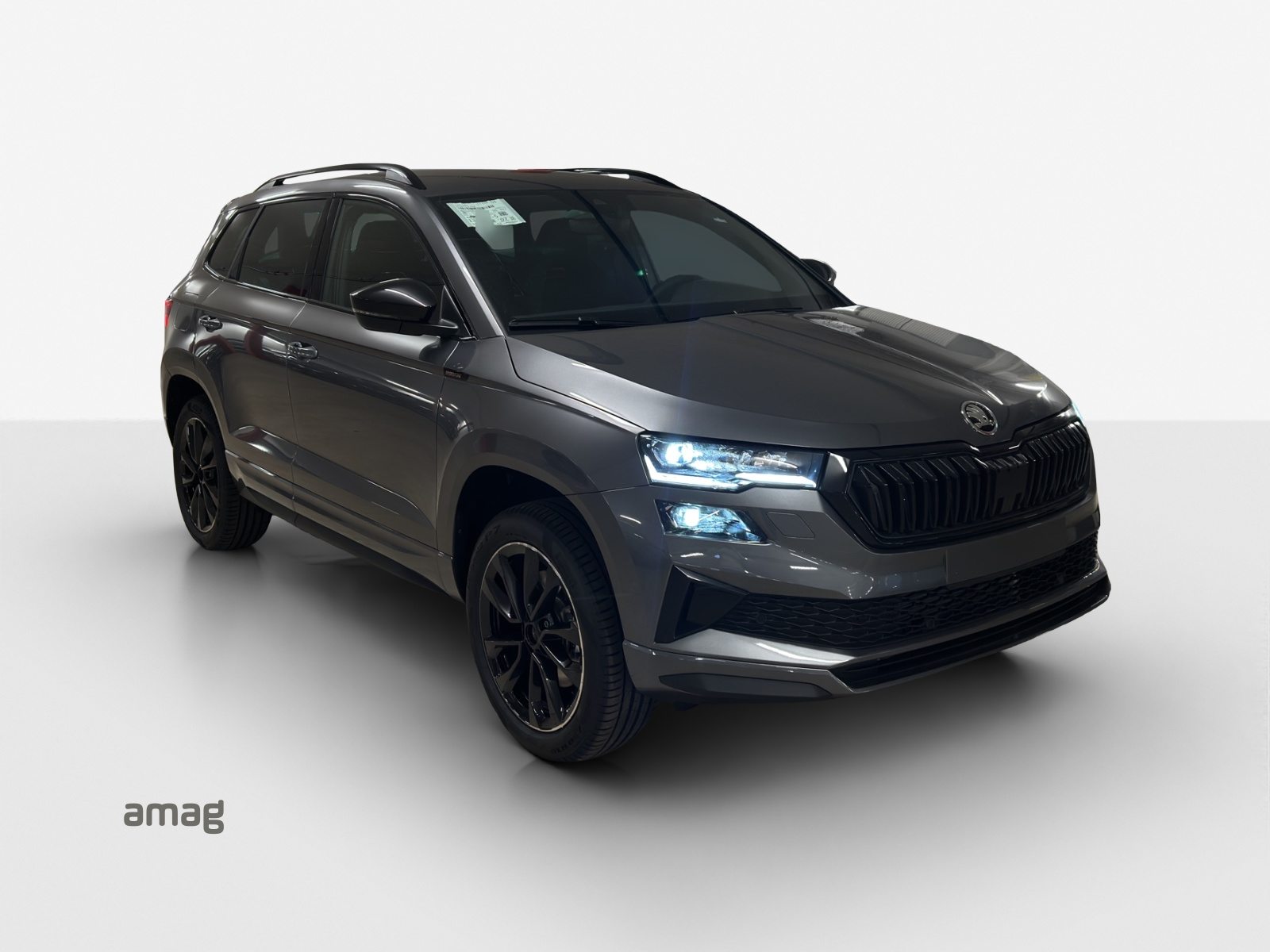 SKODA Karoq «Dynamic» Limited Edition (Netto), Benzin, Neuwagen, Automatik - 6