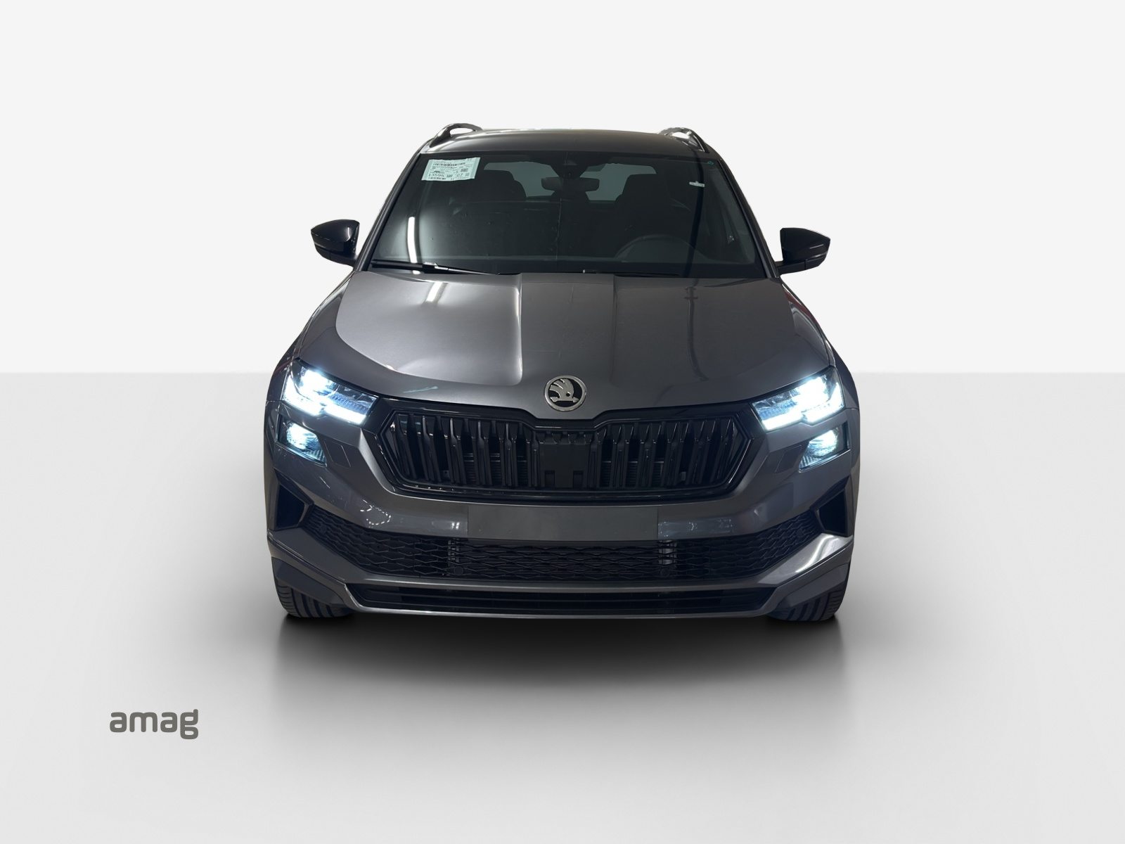 SKODA Karoq «Dynamic» Limited Edition (Netto), Benzin, Neuwagen, Automatik - 7