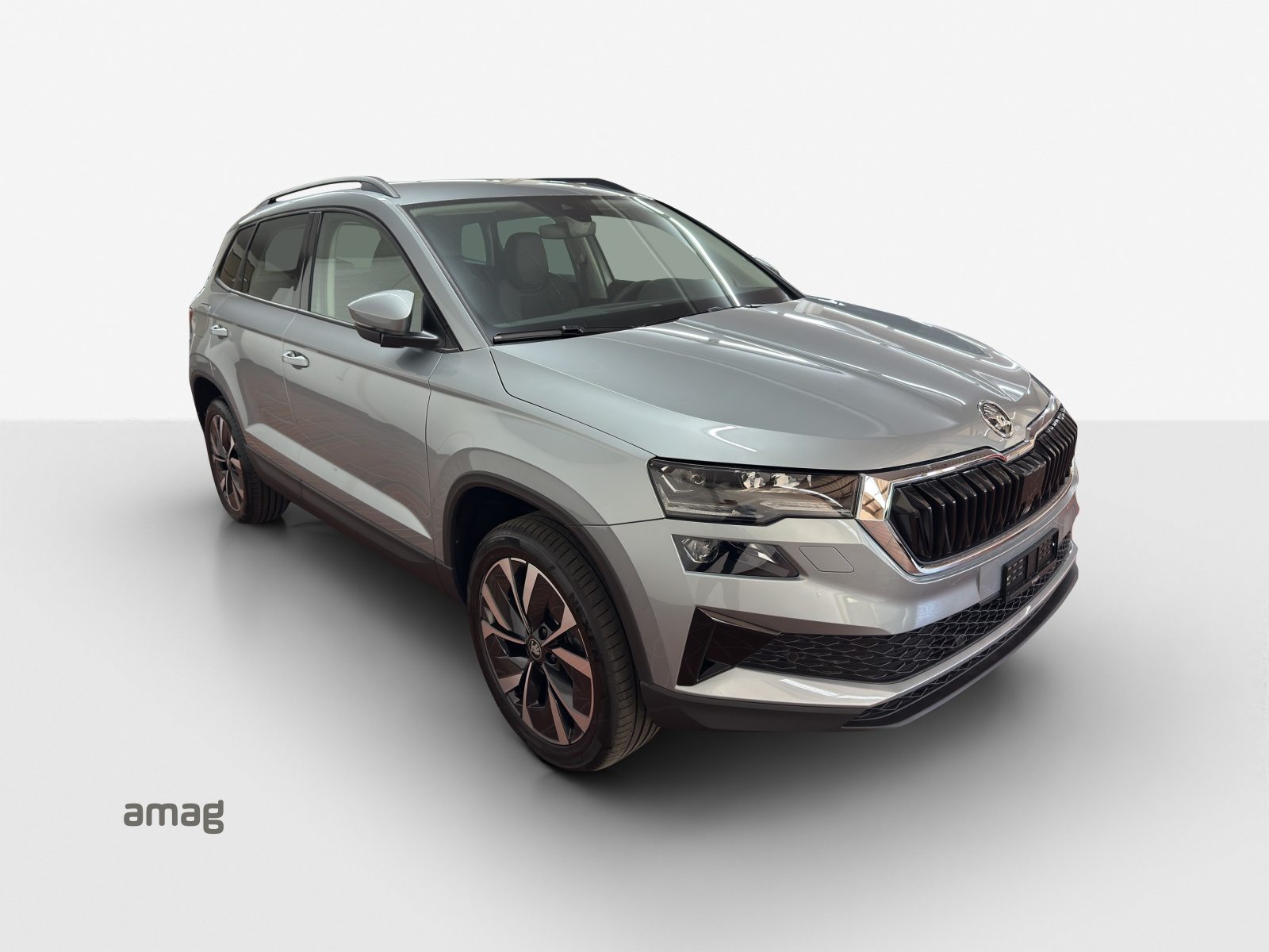 SKODA Karoq Selection, Benzina, Auto nuove, Automatico - 6