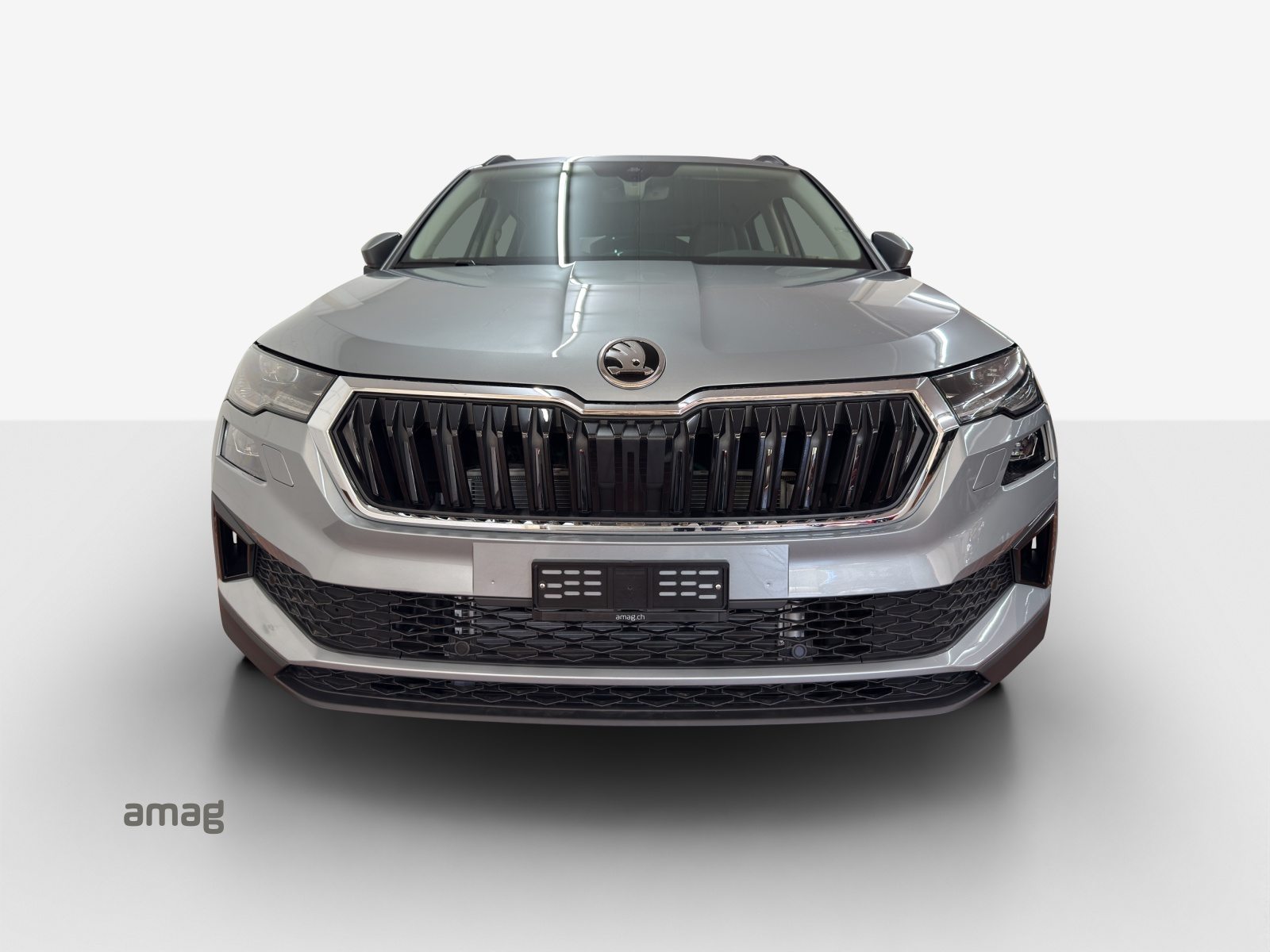 SKODA Karoq Selection, Benzina, Auto nuove, Automatico - 7