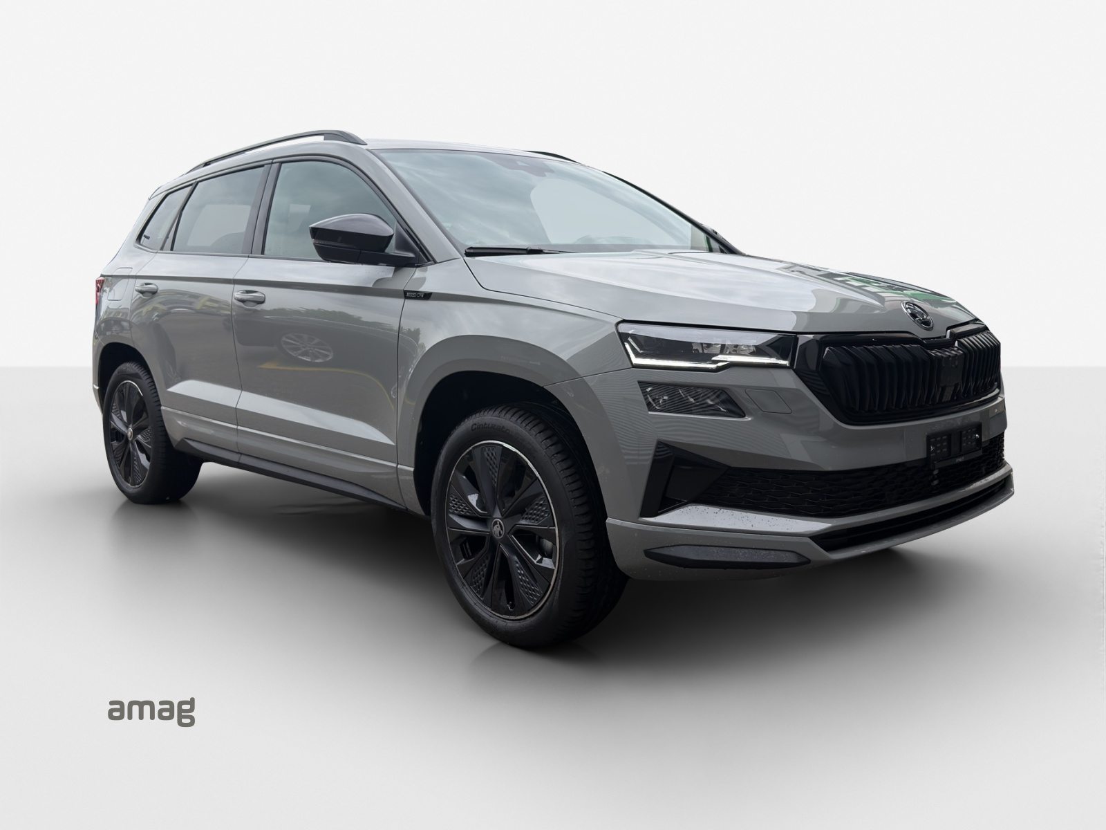 SKODA Karoq «Dynamic» Limited Edition (Netto), Petrol, New car, Automatic - 6