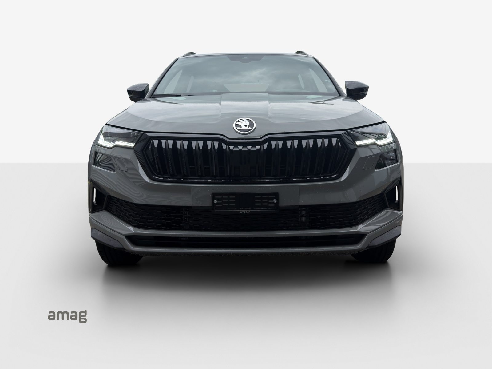 SKODA Karoq «Dynamic» Limited Edition (Netto), Petrol, New car, Automatic - 7