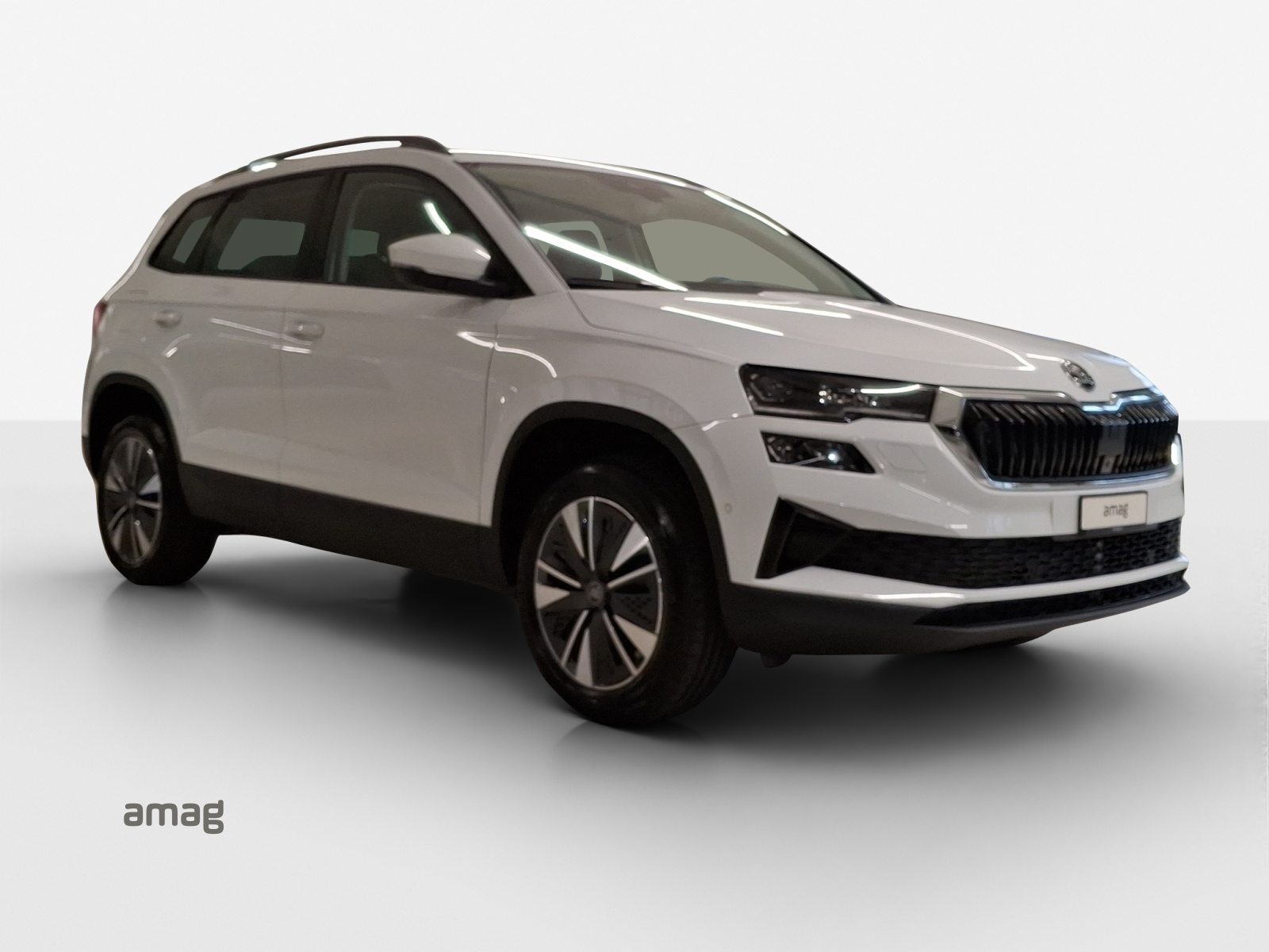 SKODA Karoq Dynamic (Netto), Benzina, Auto nuove, Automatico - 6