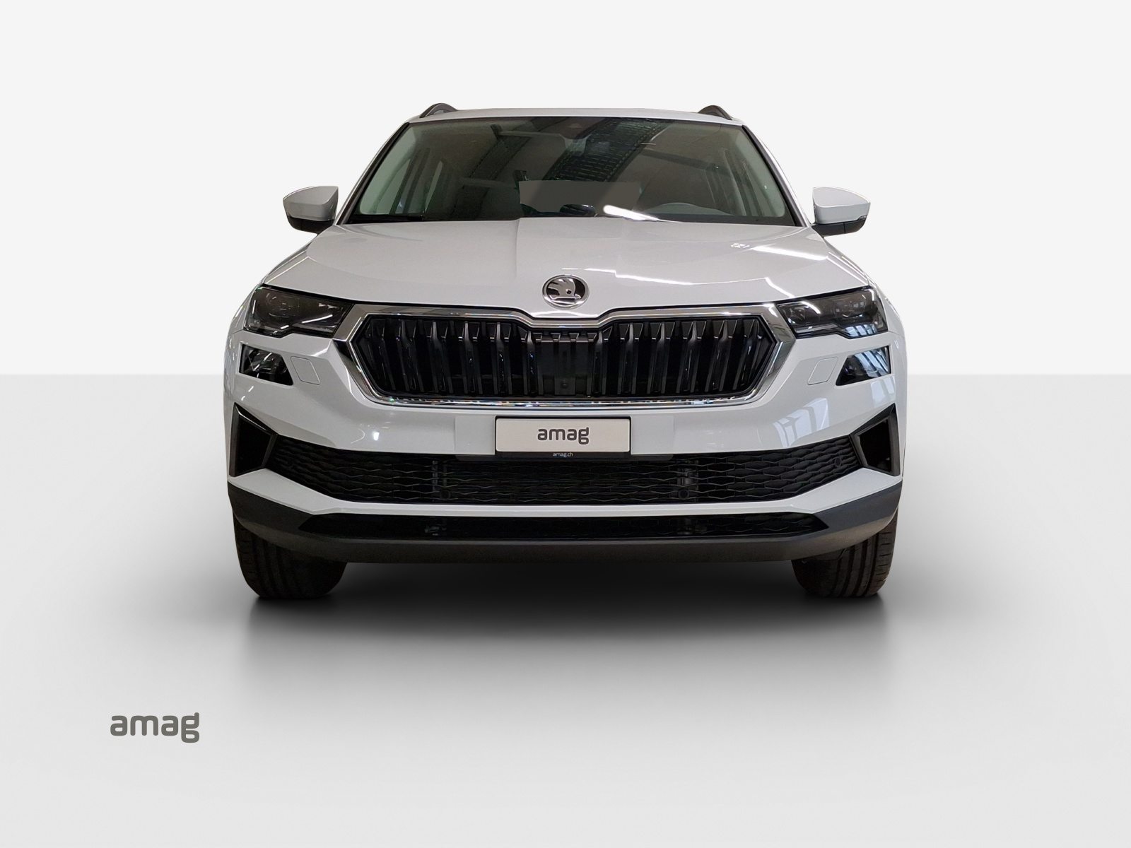 SKODA Karoq Dynamic (Netto), Benzina, Auto nuove, Automatico - 7