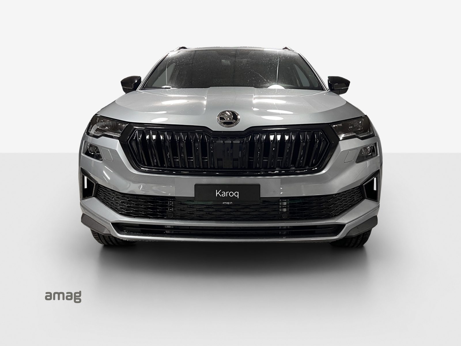 SKODA Karoq «Dynamic» Limited Edition (Netto), Benzina, Auto nuove, Automatico - 7