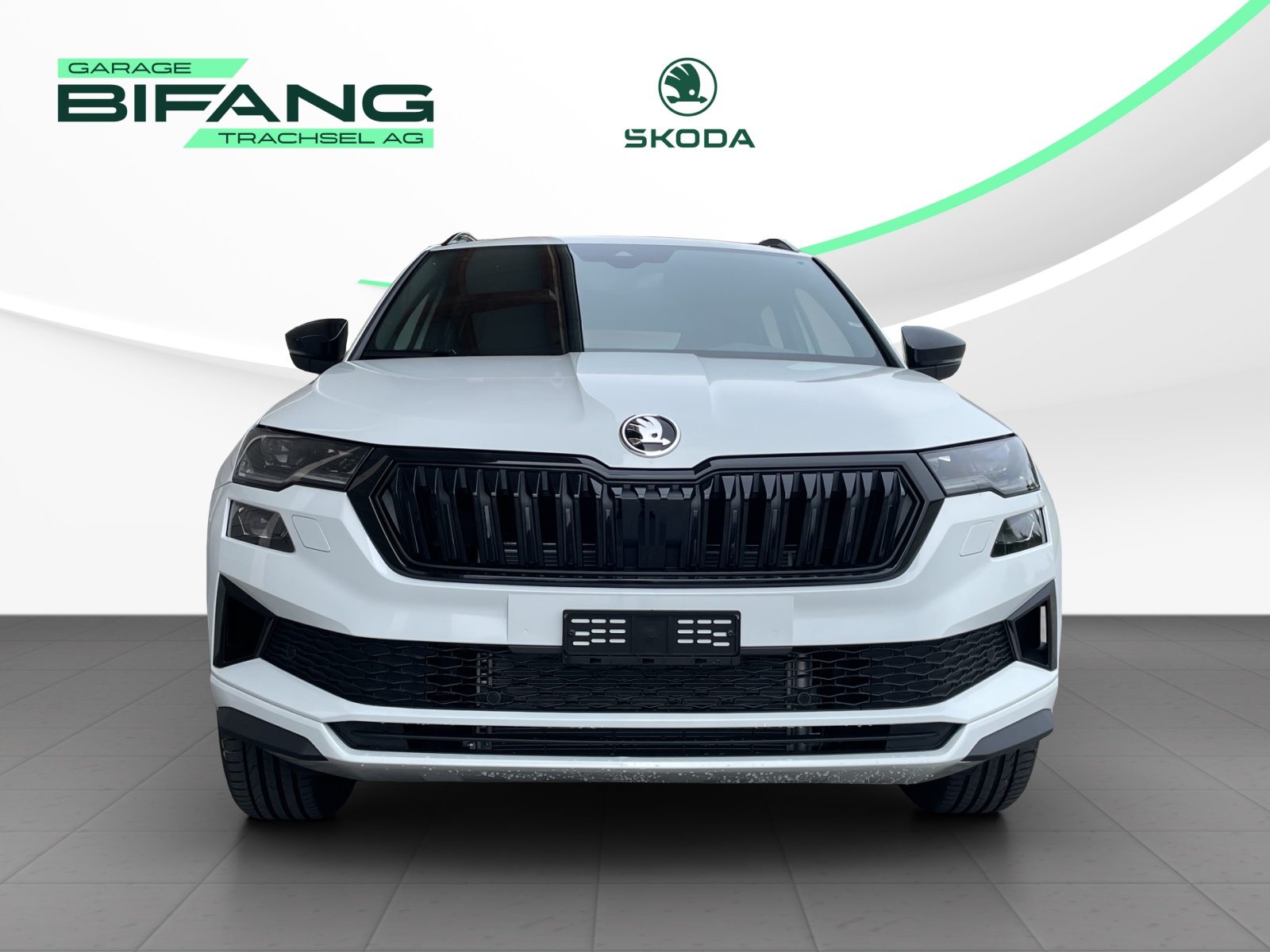 SKODA Karoq «Dynamic» Limited Edition (Netto), Petrol, New car, Automatic - 2