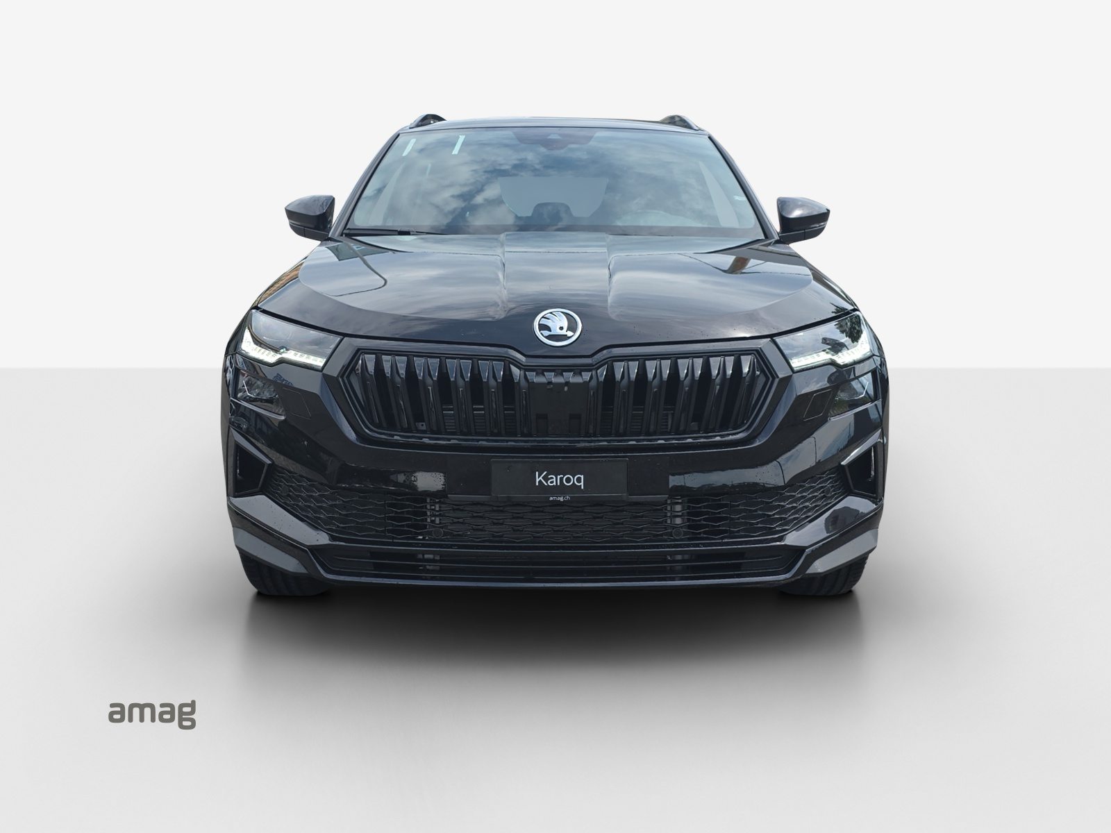 SKODA Karoq «Dynamic» Limited Edition (Netto), Benzina, Auto nuove, Automatico - 7