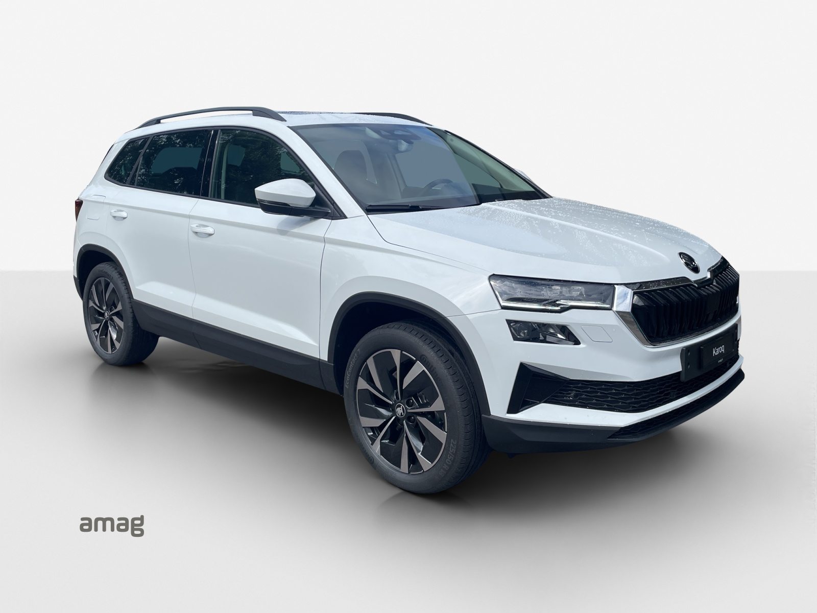 SKODA Karoq Selection, Diesel, Auto nuove, Automatico - 6