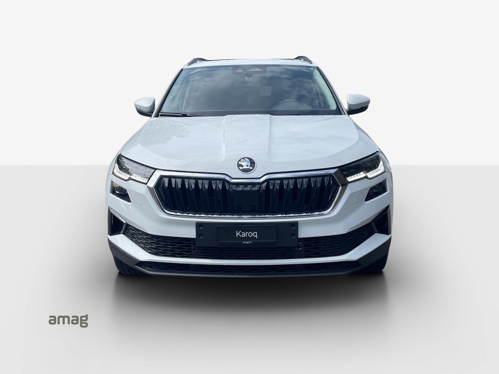 SKODA Karoq Selection, Diesel, Auto nuove, Automatico - 7