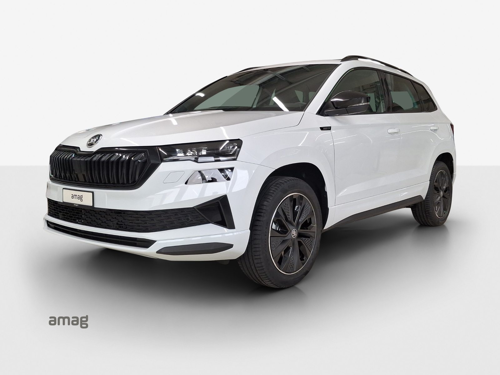 SKODA Karoq «Dynamic» Limited Edition (Netto)