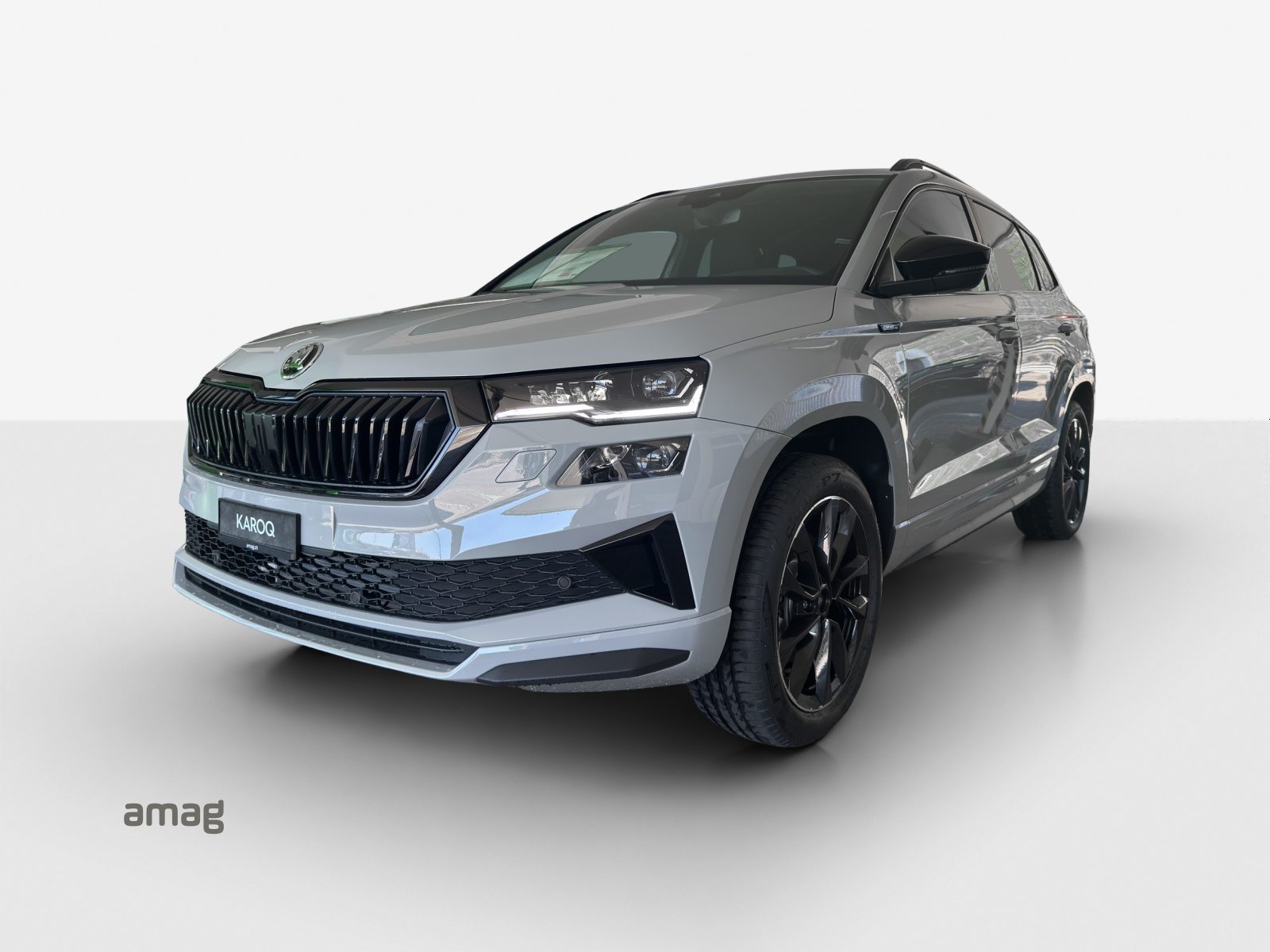 SKODA Karoq «Dynamic» Limited Edition (Netto)