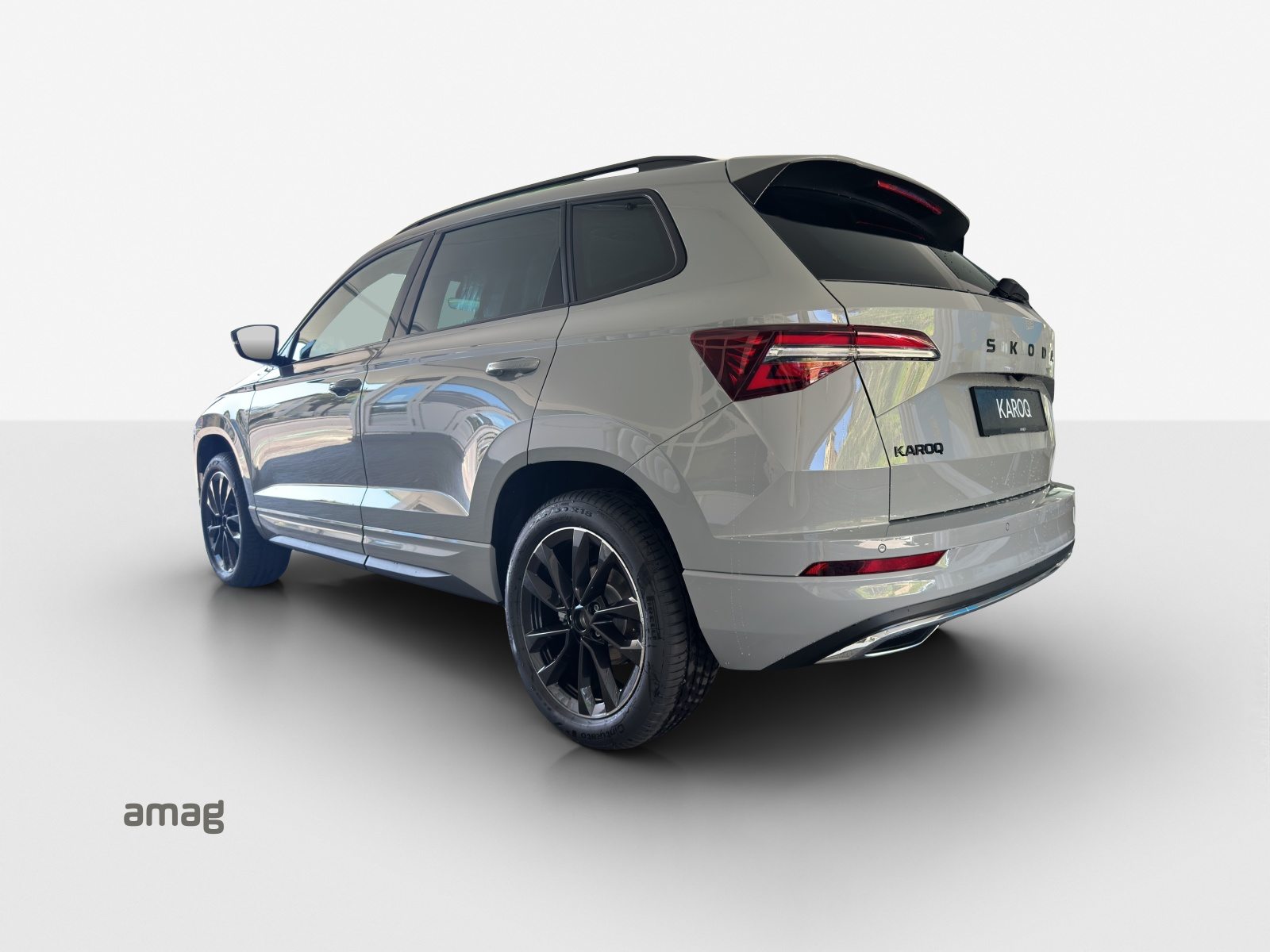 SKODA Karoq «Dynamic» Limited Edition (Netto), Petrol, New car, Automatic - 3