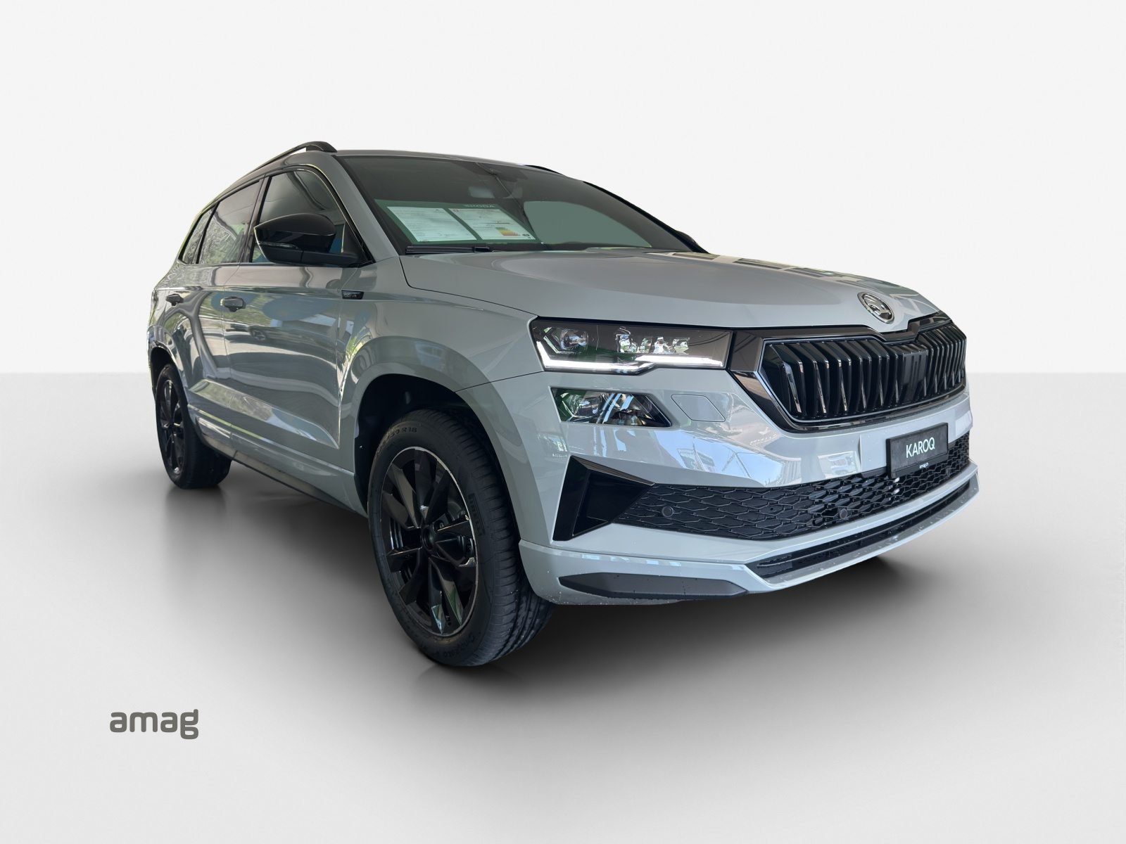 SKODA Karoq «Dynamic» Limited Edition (Netto), Petrol, New car, Automatic - 6