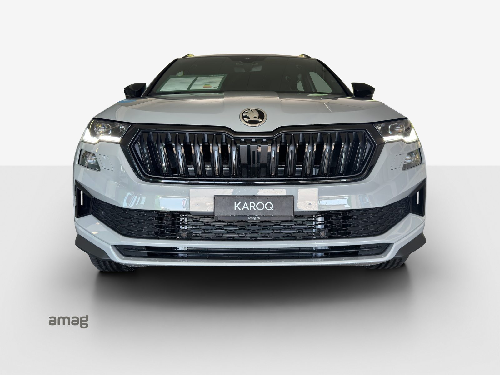 SKODA Karoq «Dynamic» Limited Edition (Netto), Petrol, New car, Automatic - 7