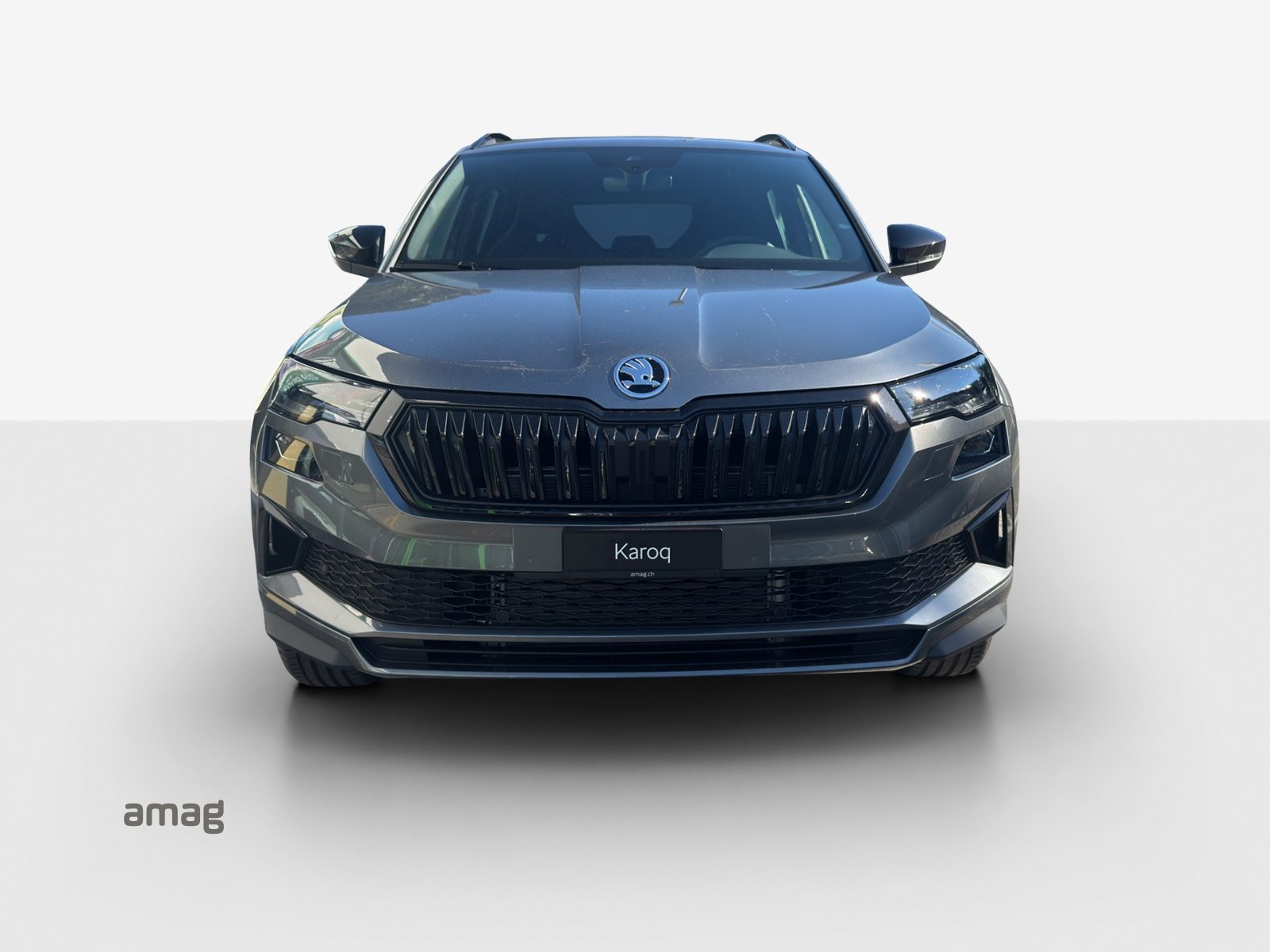 SKODA Karoq «Dynamic» Limited Edition (Netto), Benzin, Neuwagen, Automatik - 7
