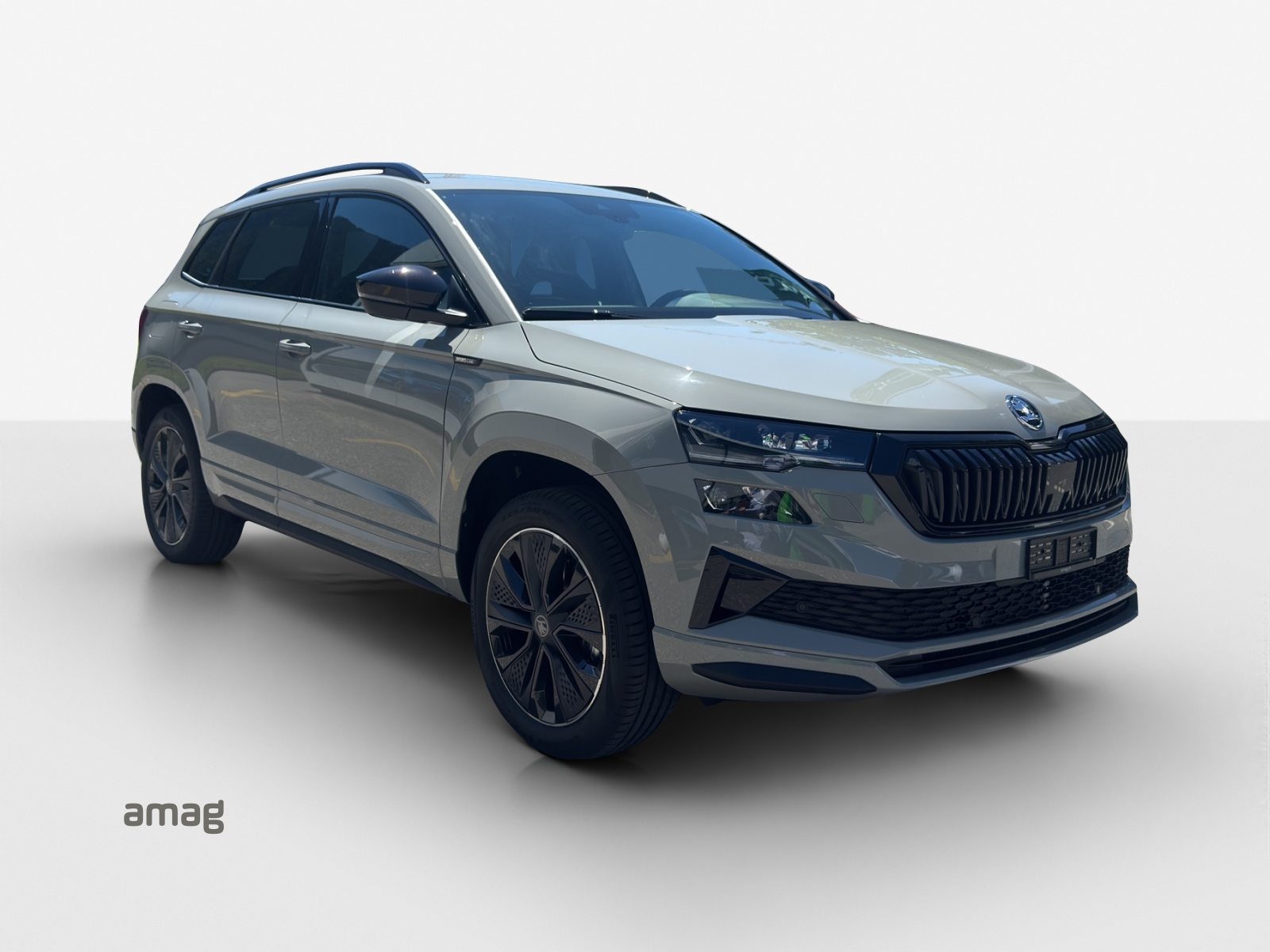 SKODA Karoq «Dynamic» Limited Edition (Netto), Benzina, Auto nuove, Automatico - 6