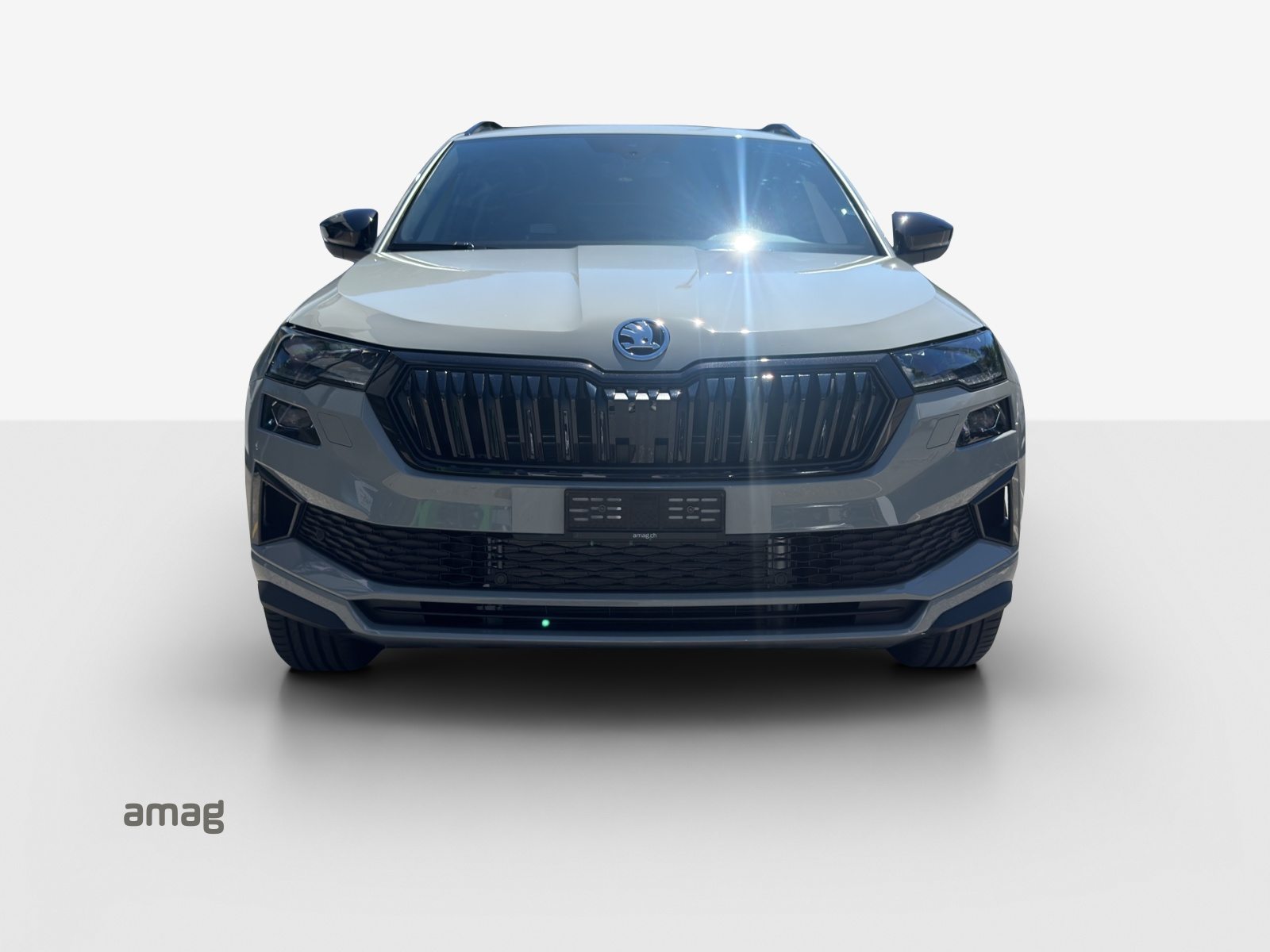 SKODA Karoq «Dynamic» Limited Edition (Netto), Benzina, Auto nuove, Automatico - 7