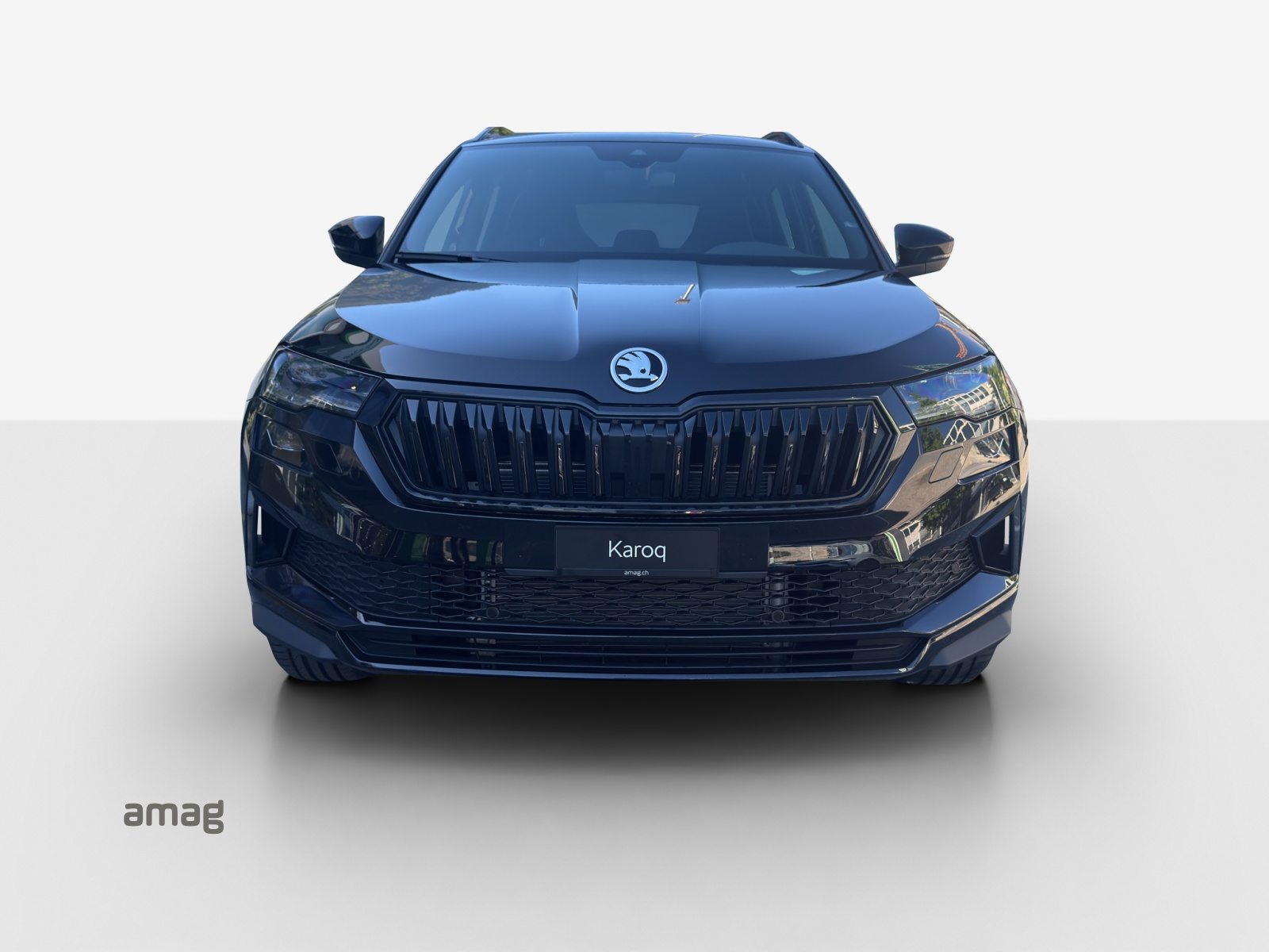 SKODA Karoq «Dynamic» Limited Edition (Netto), Benzina, Auto nuove, Automatico - 7
