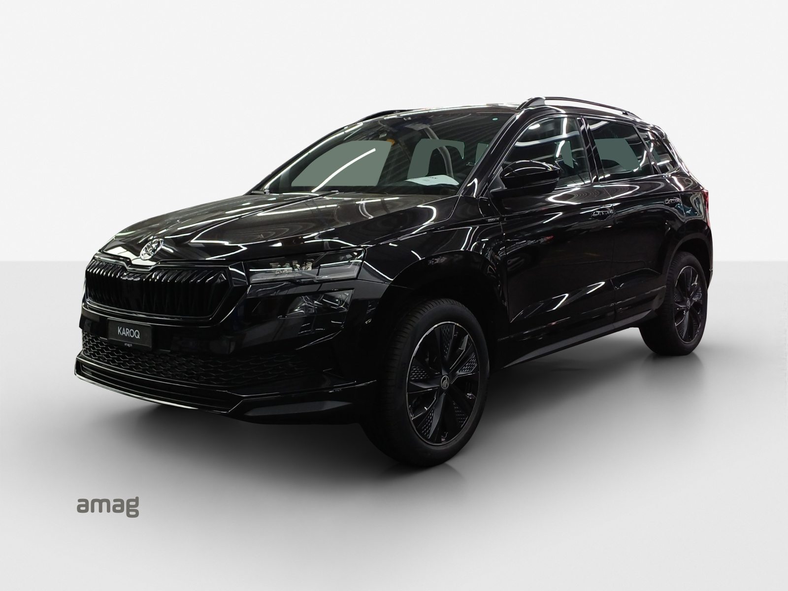 SKODA Karoq «Dynamic» Limited Edition (Netto)