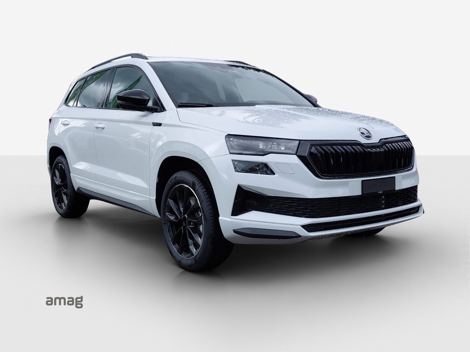 SKODA Karoq «Dynamic» Limited Edition (Netto), Benzina, Auto nuove, Automatico - 6