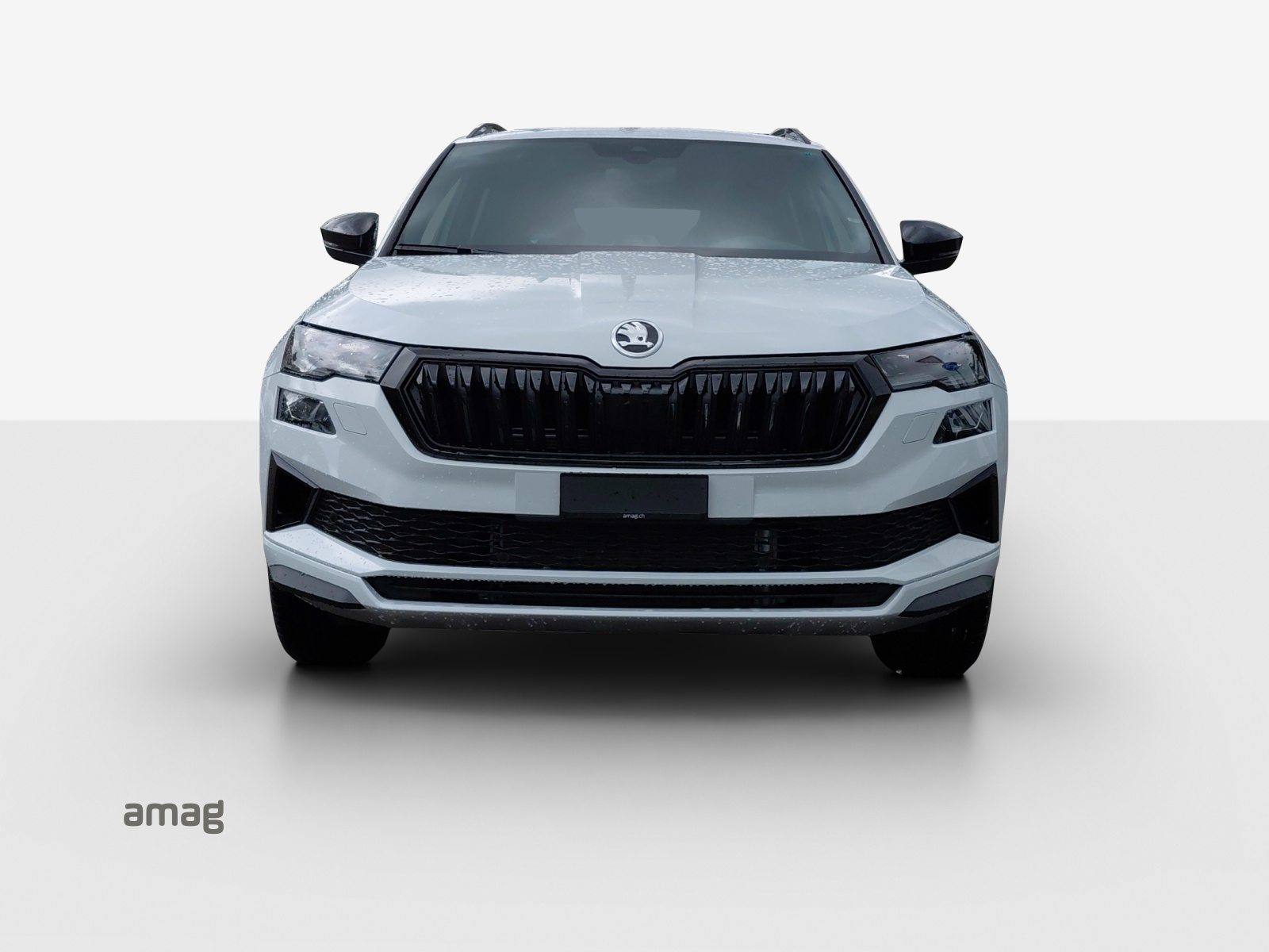 SKODA Karoq «Dynamic» Limited Edition (Netto), Benzina, Auto nuove, Automatico - 7