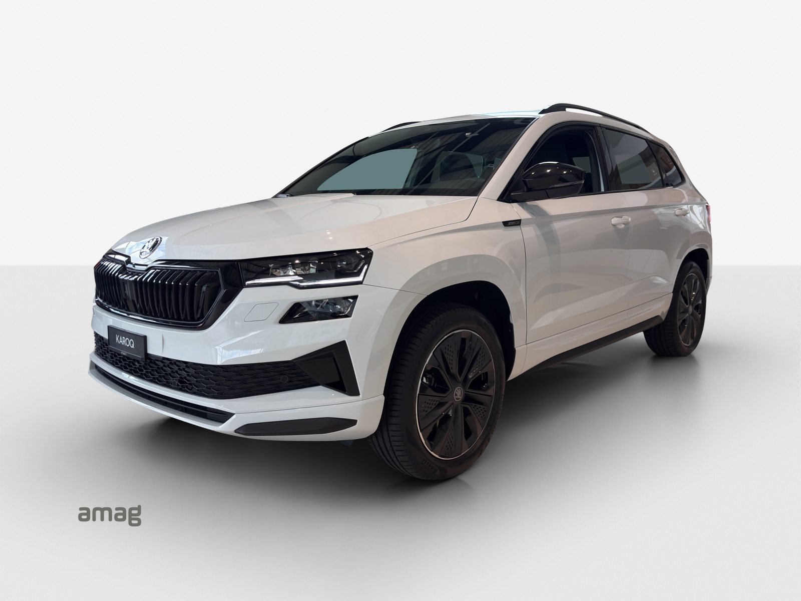 SKODA Karoq «Dynamic» Limited Edition (Netto)